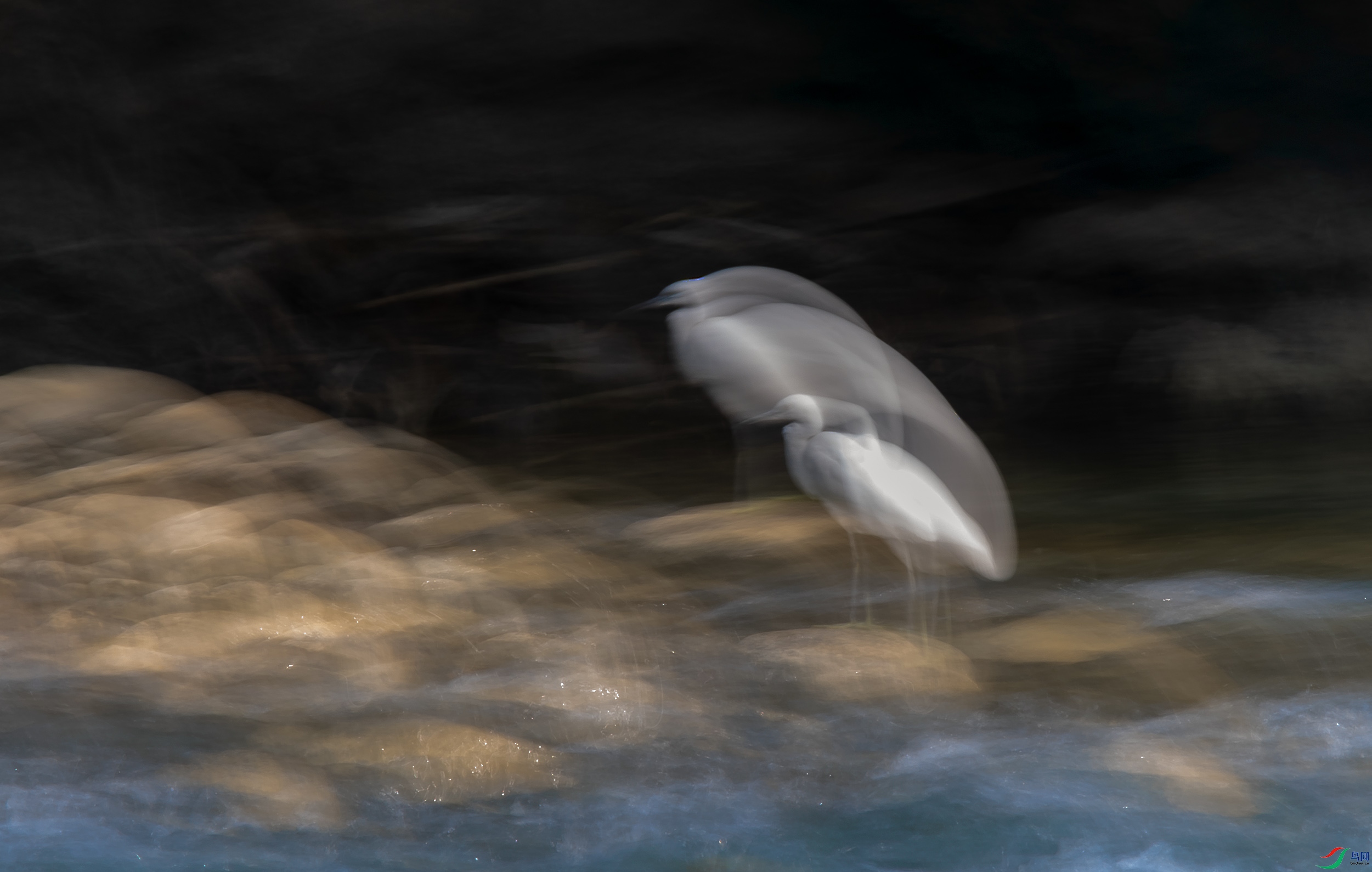 DSC_5816.JPG