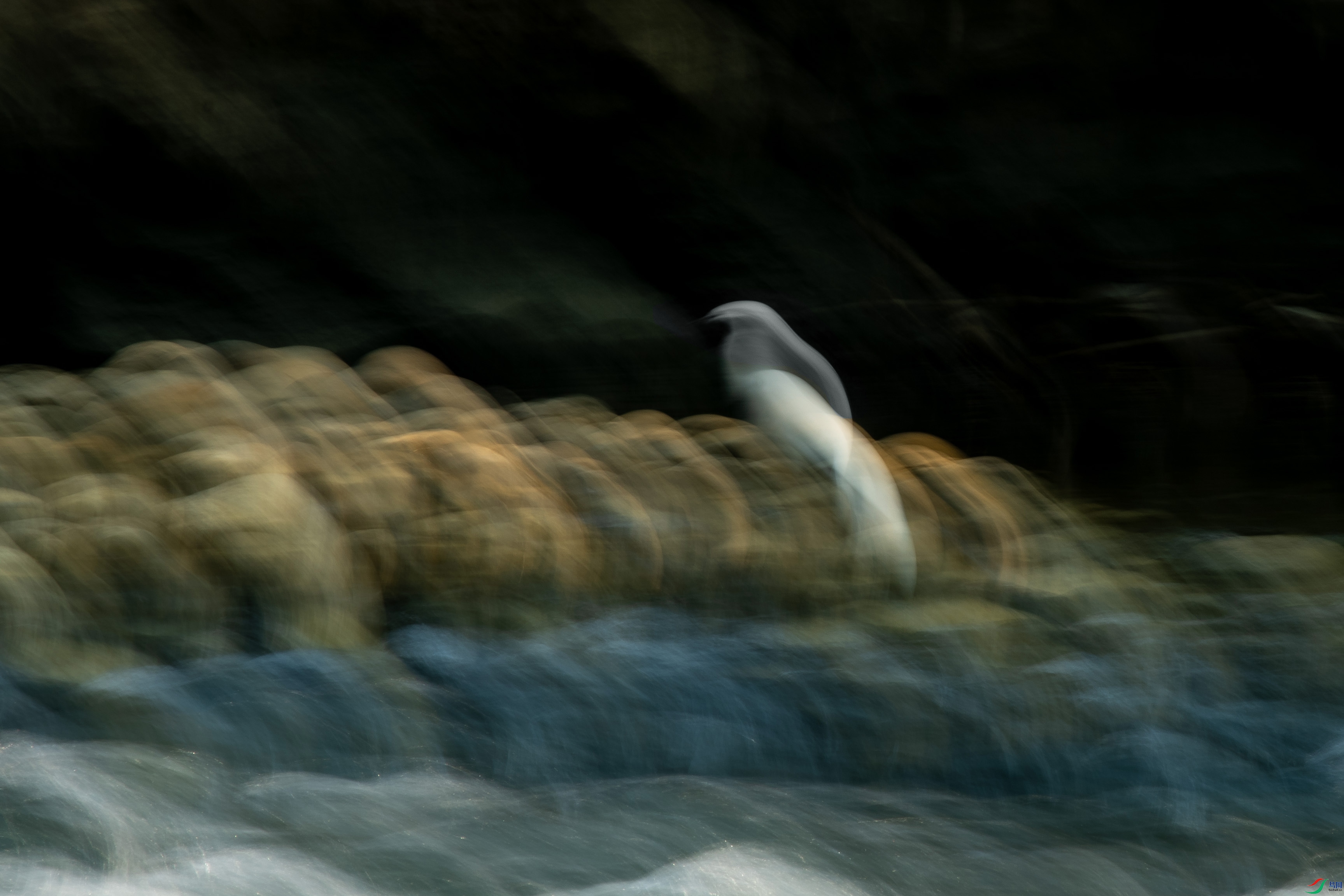 DSC_5710.JPG