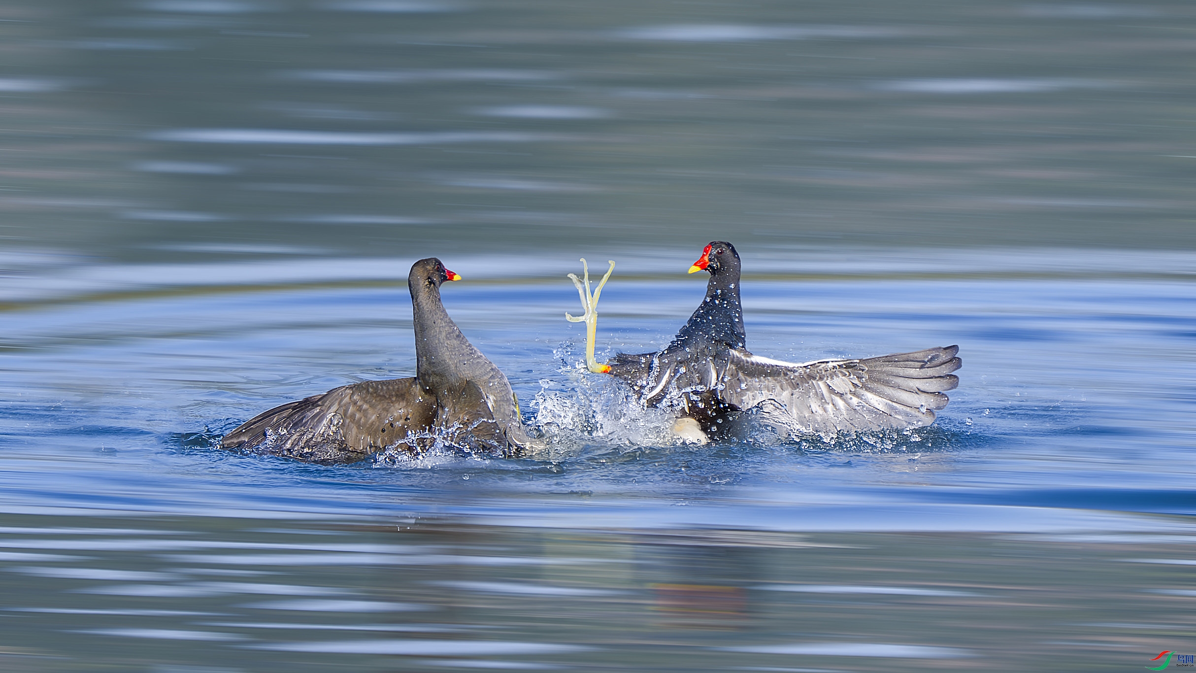 _DSC6941 ���� 2.jpg