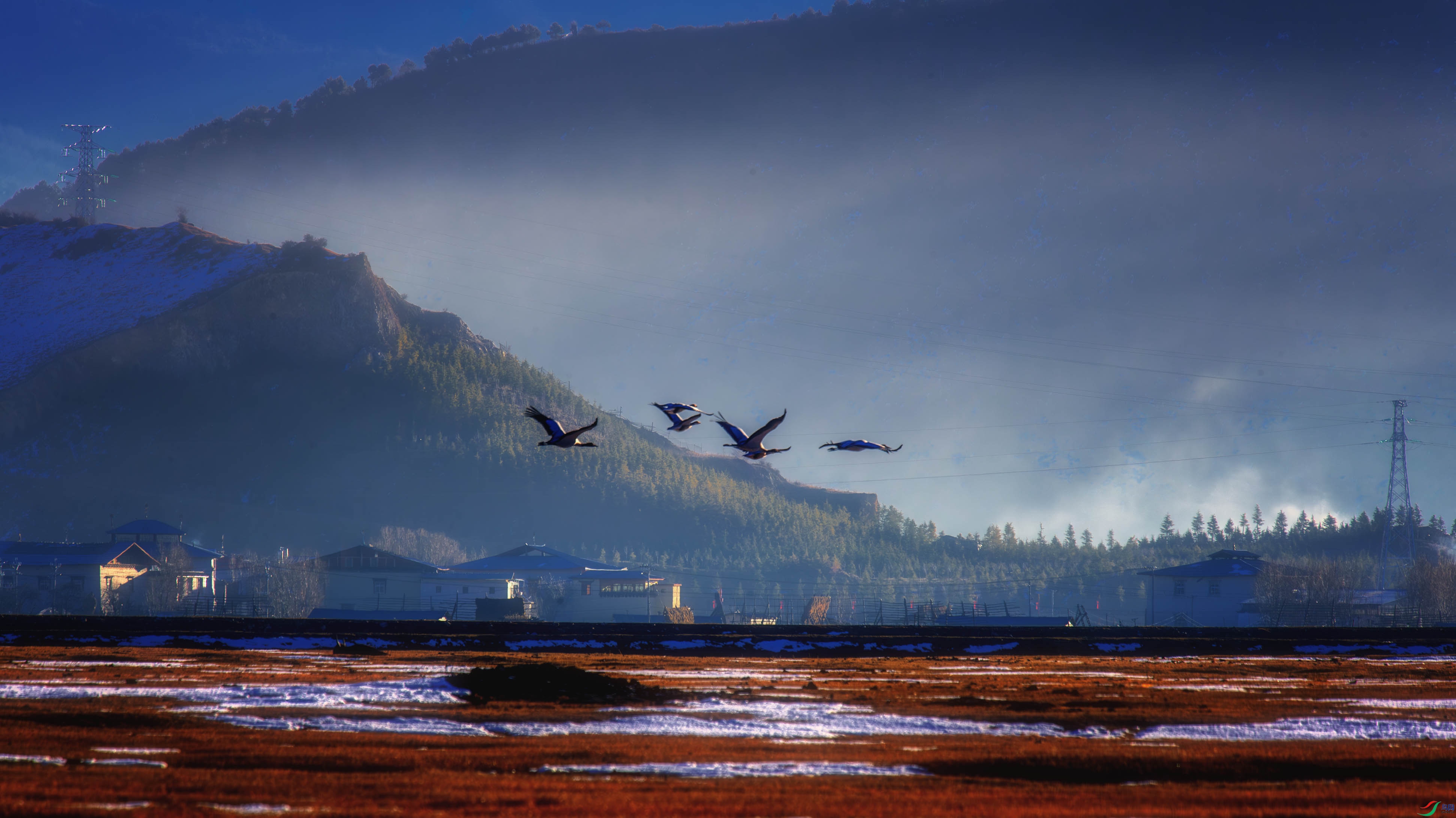 DSC_5736-����ǿ-NR ����1.jpg