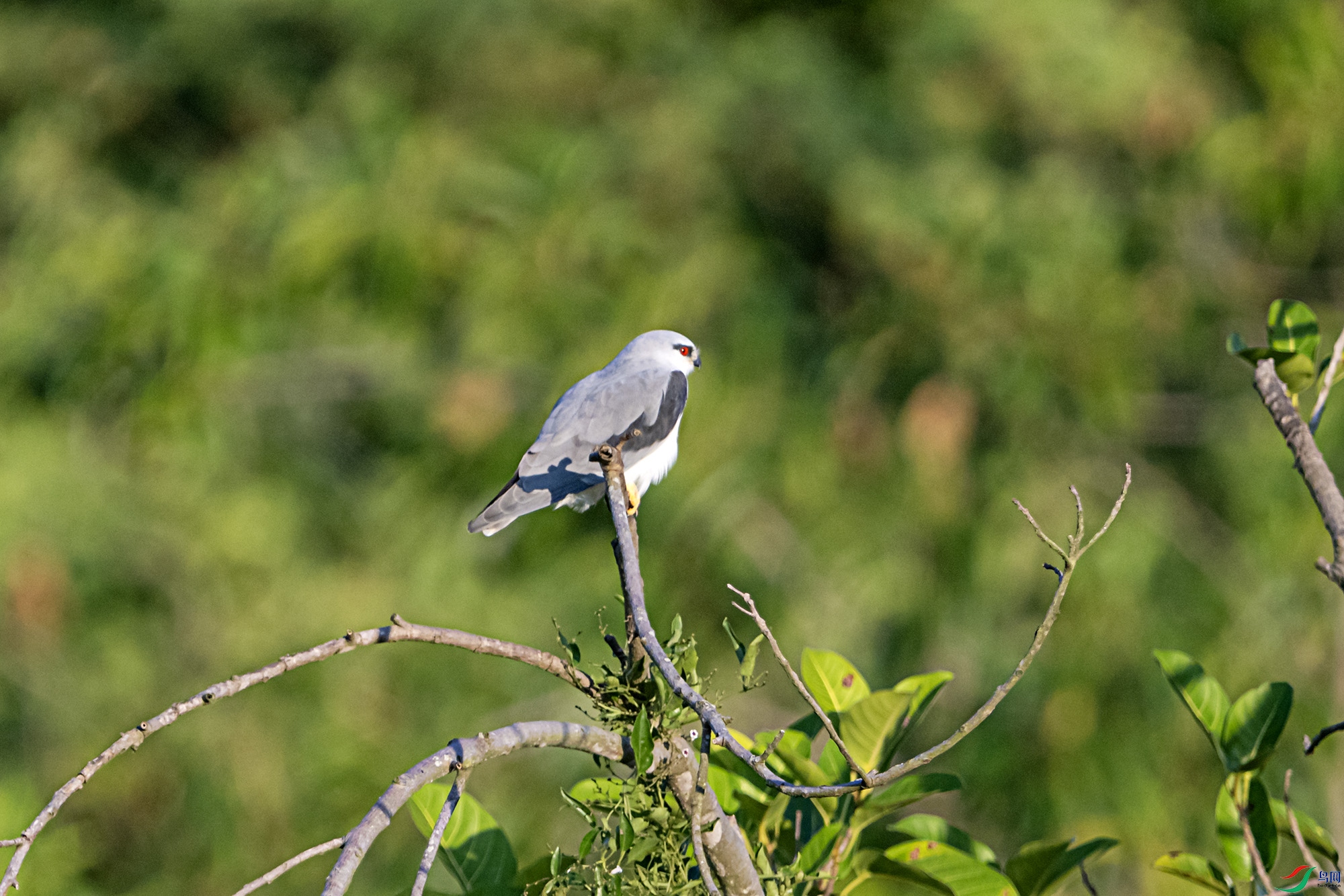DSC_6402.jpg