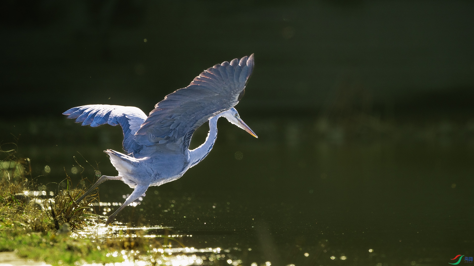 DSC_6762 ����.jpg