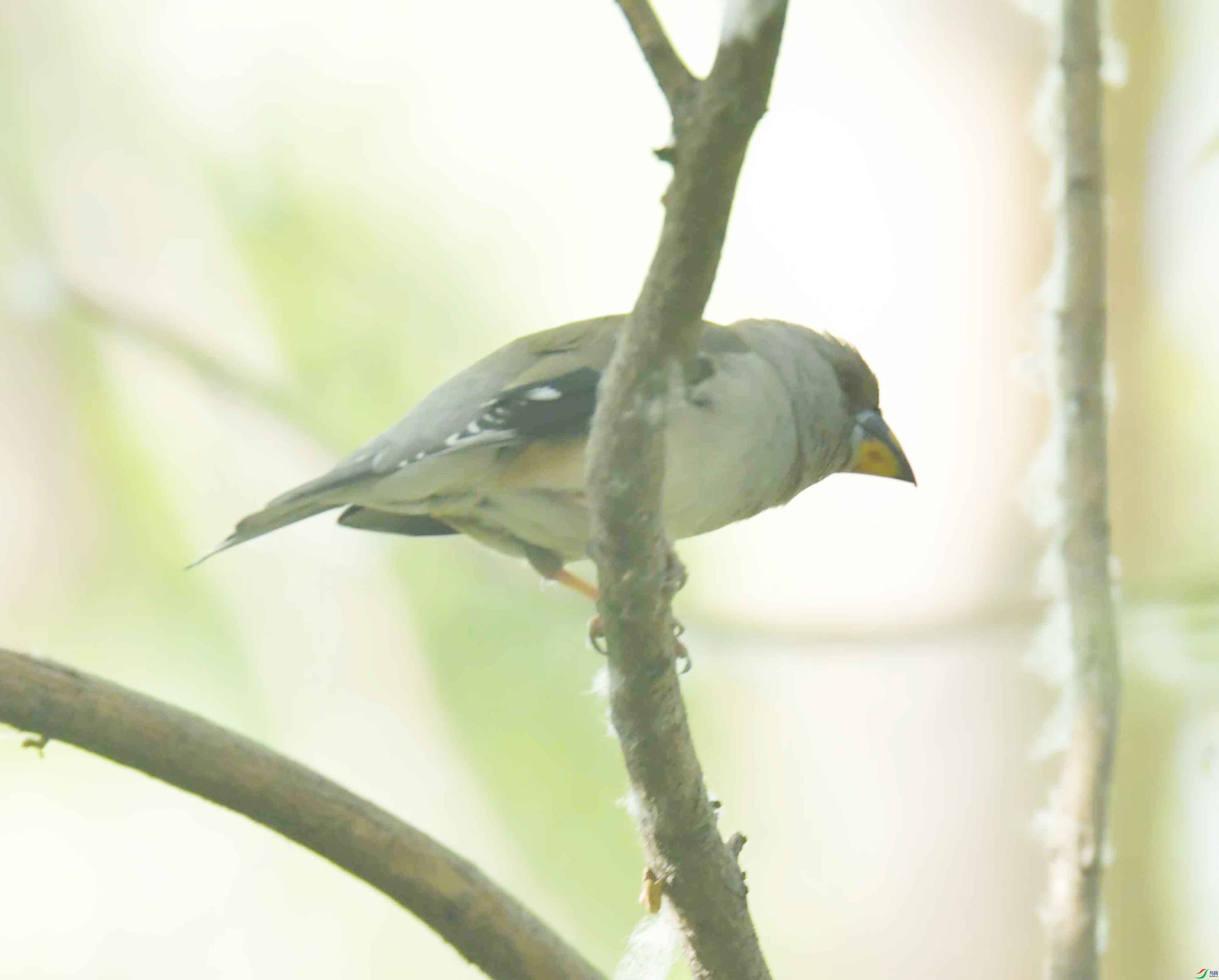 DSC_6776.JPG