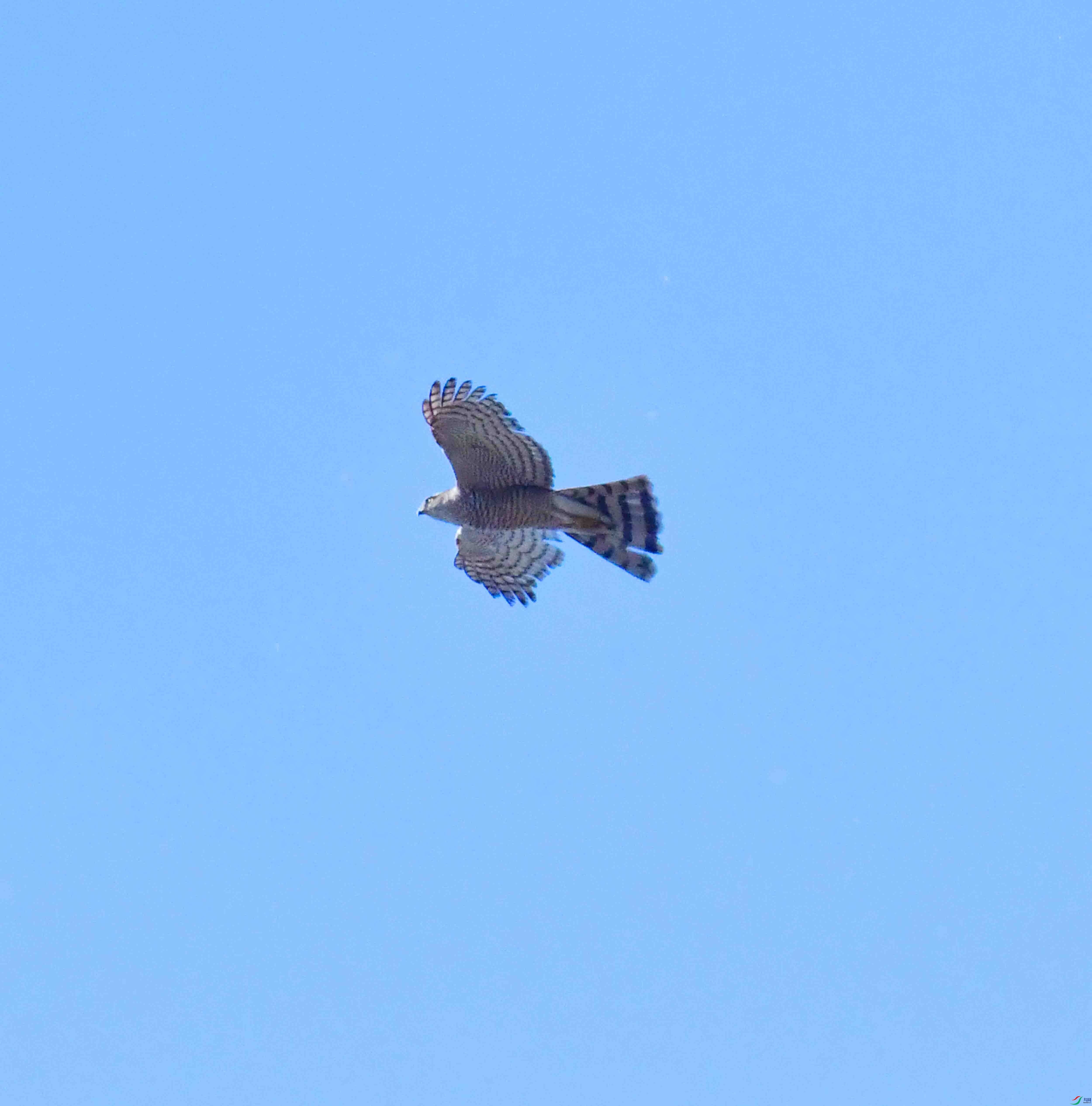 DSC_8257.JPG