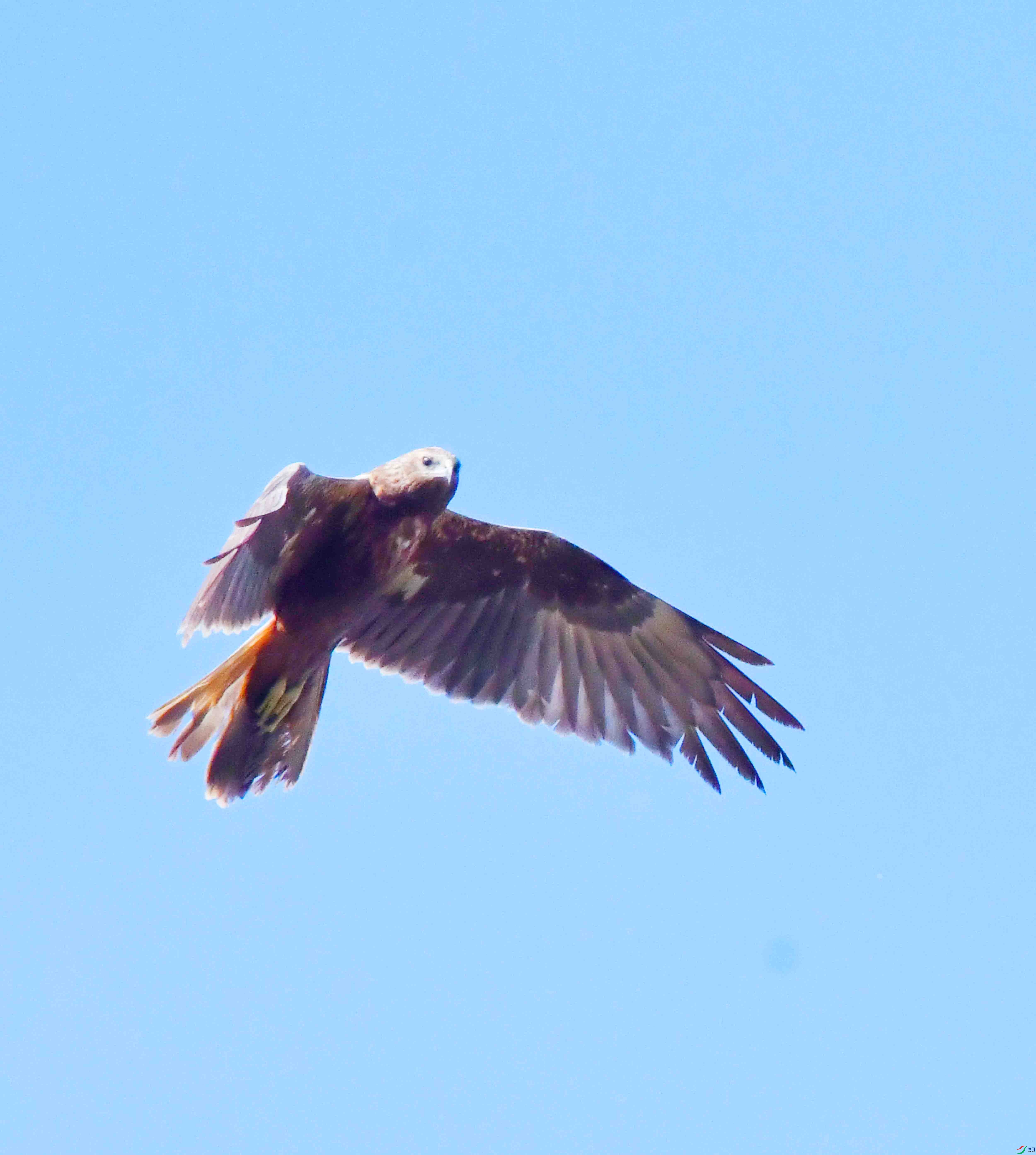 DSC_8245.JPG