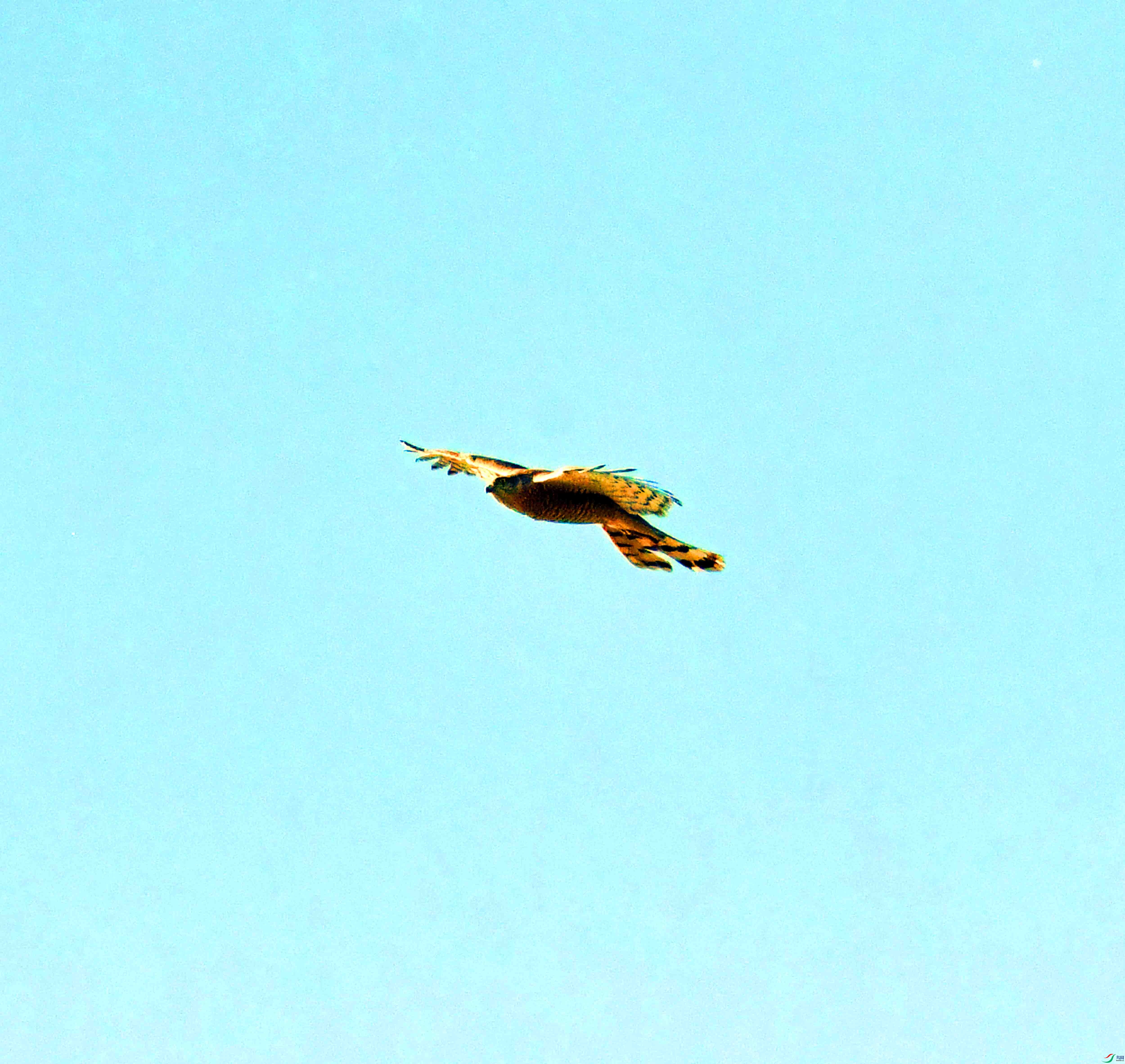 DSC_8260.JPG