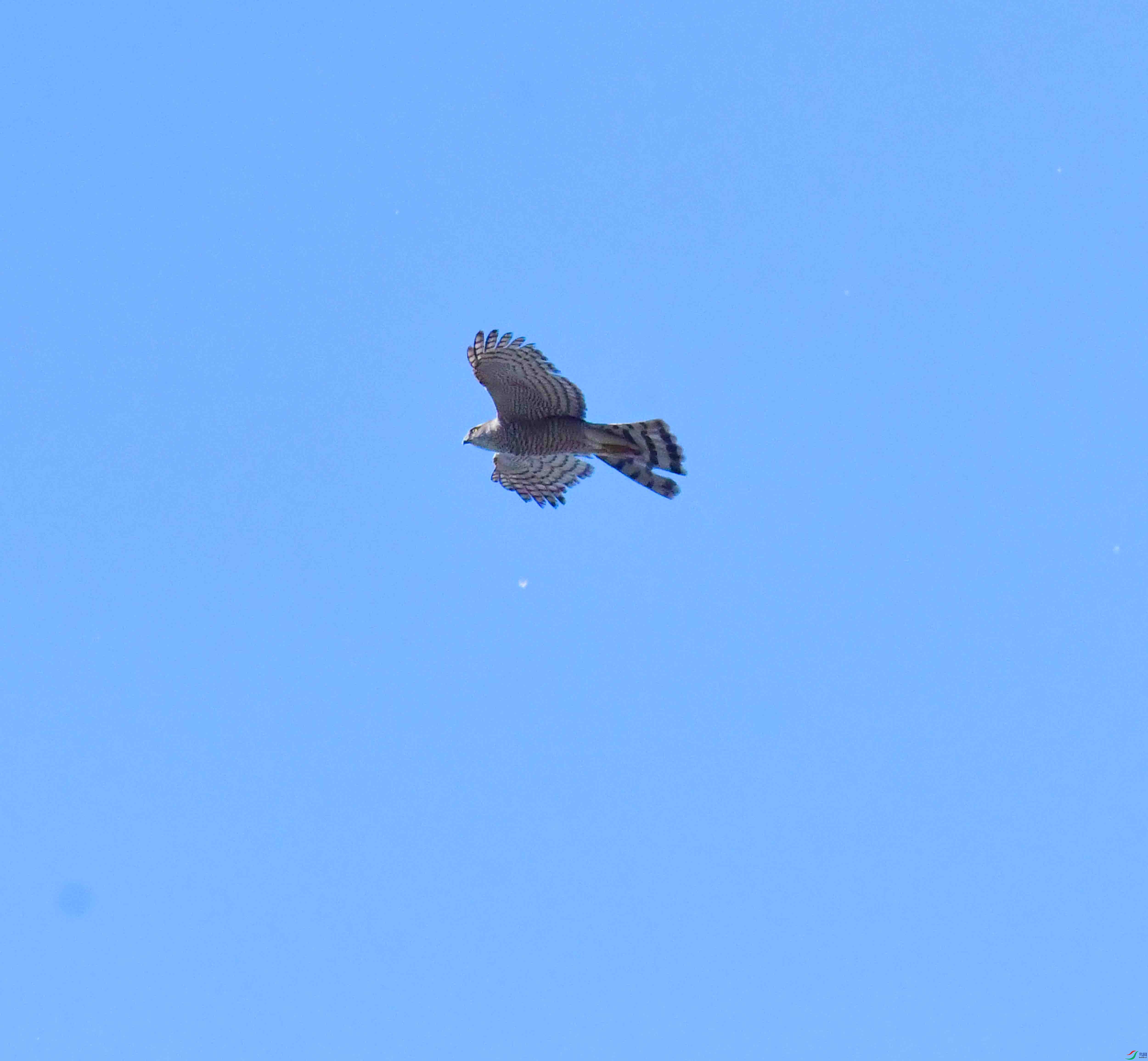 DSC_8258.JPG