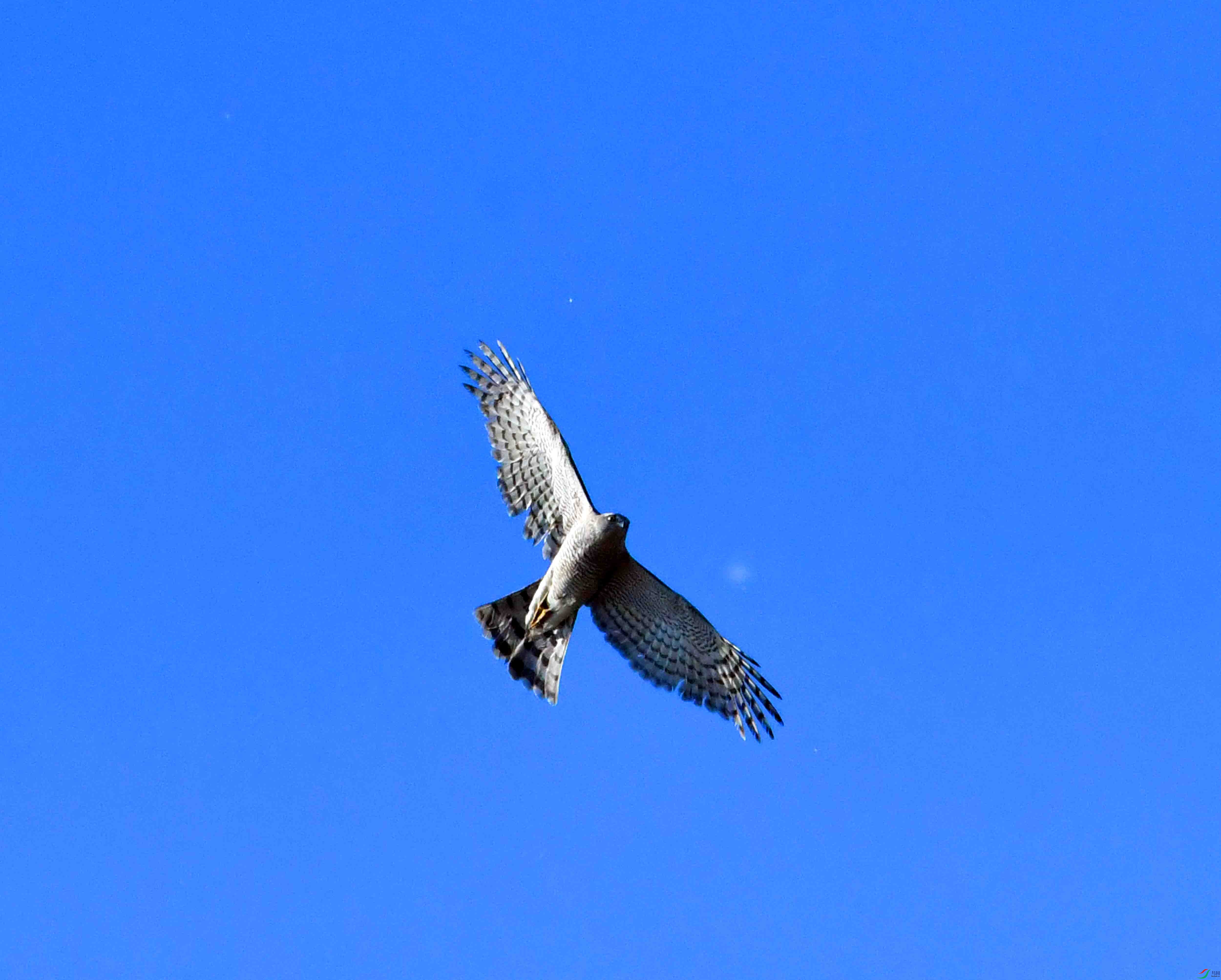 DSC_8262.JPG