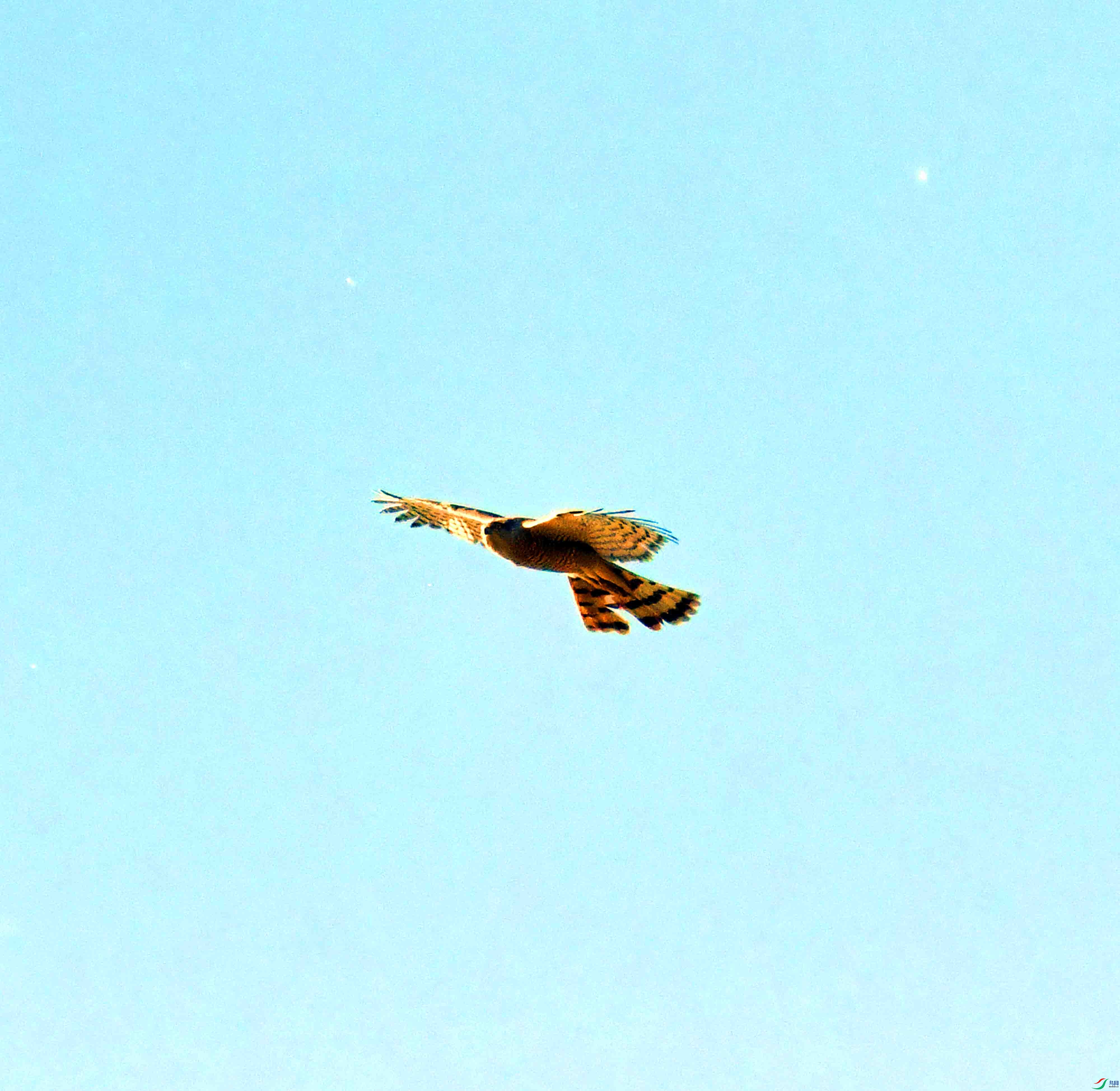 DSC_8261.JPG