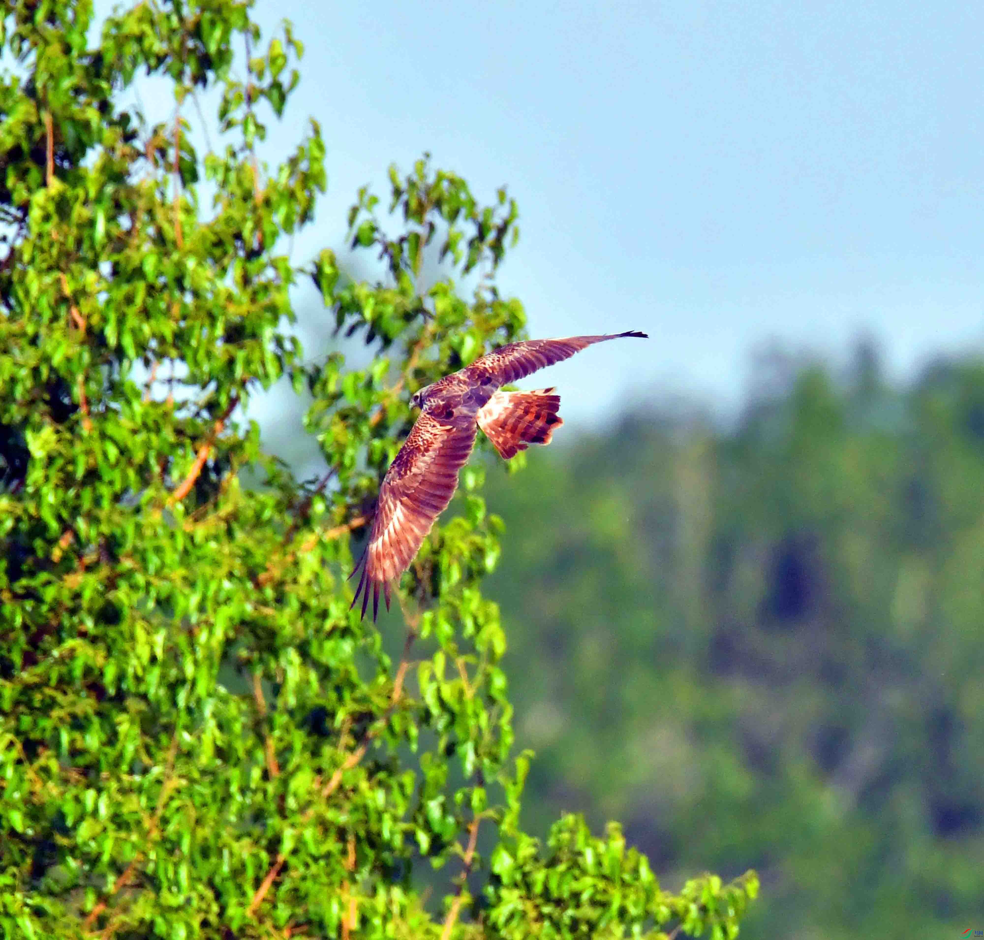 DSC_9716.JPG