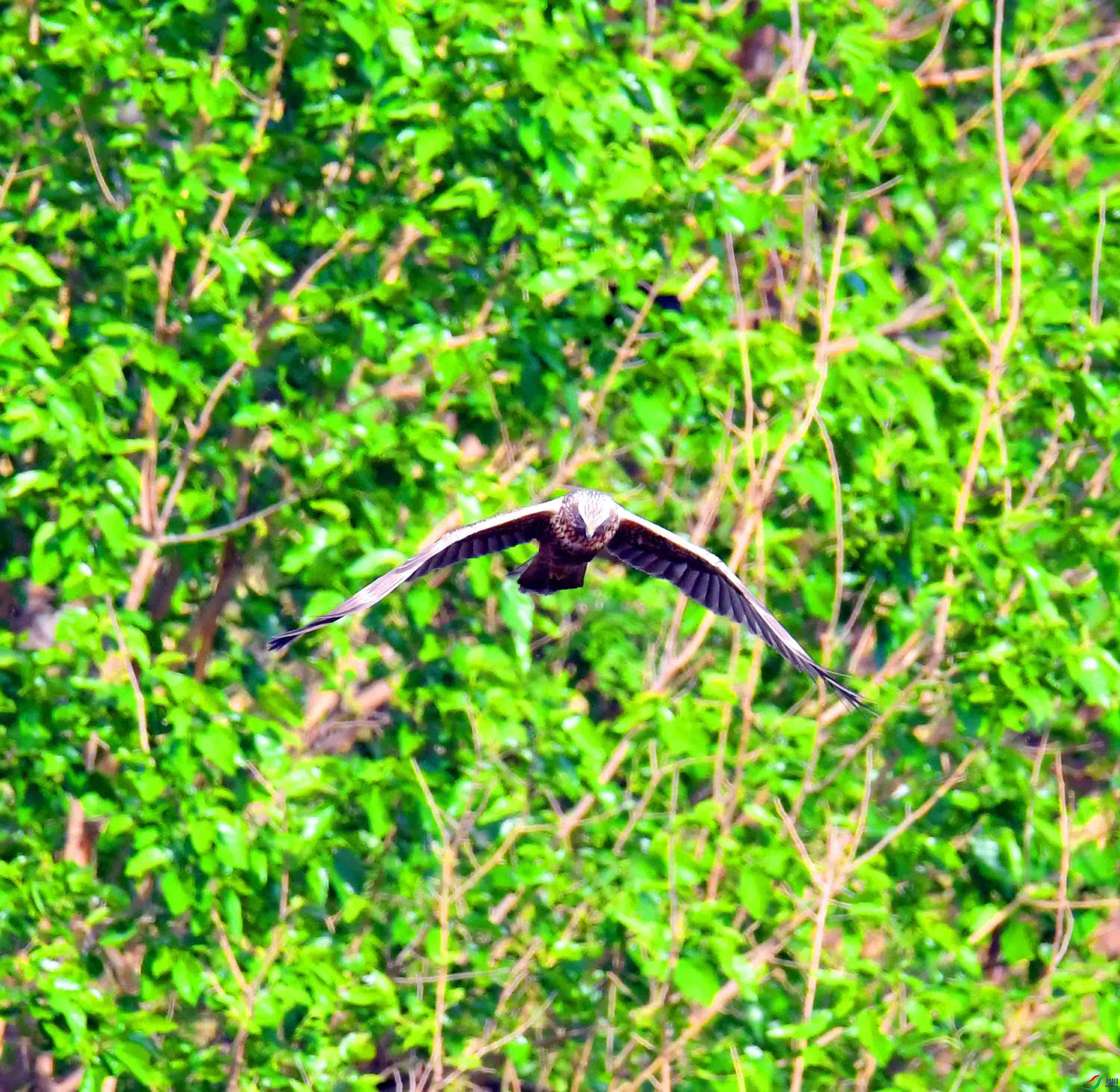 DSC_9729.JPG