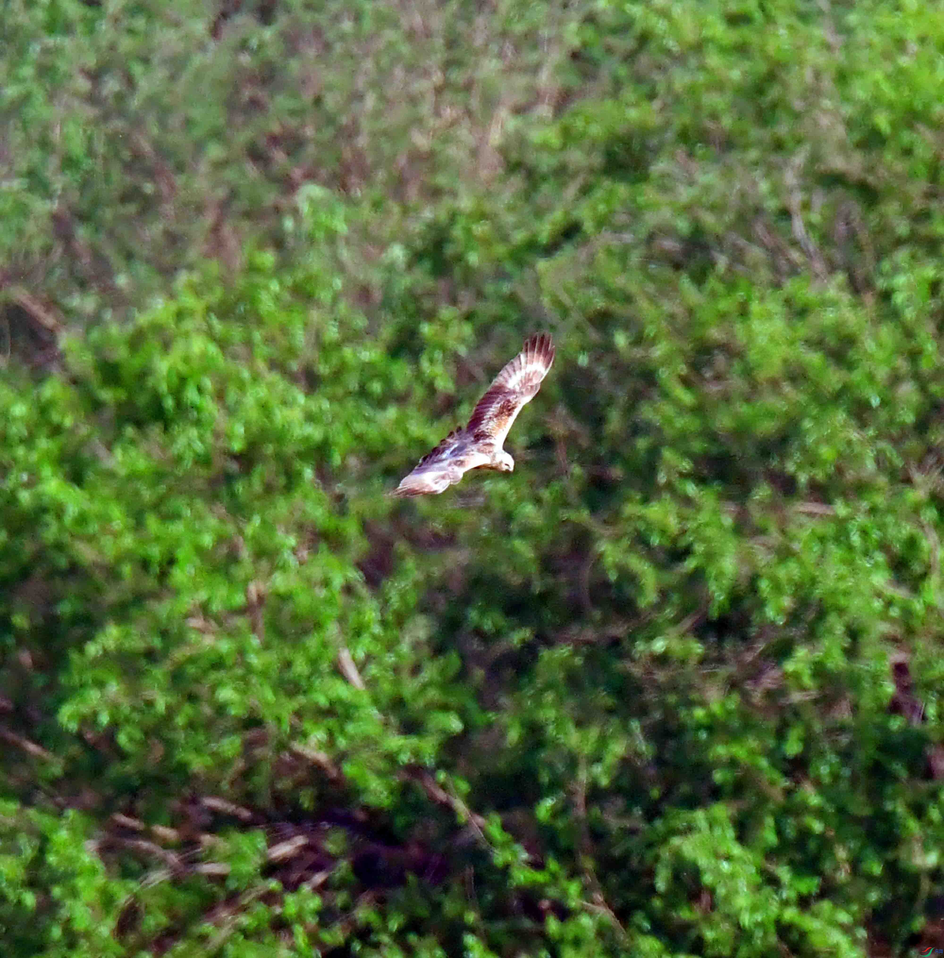 DSC_9817.JPG