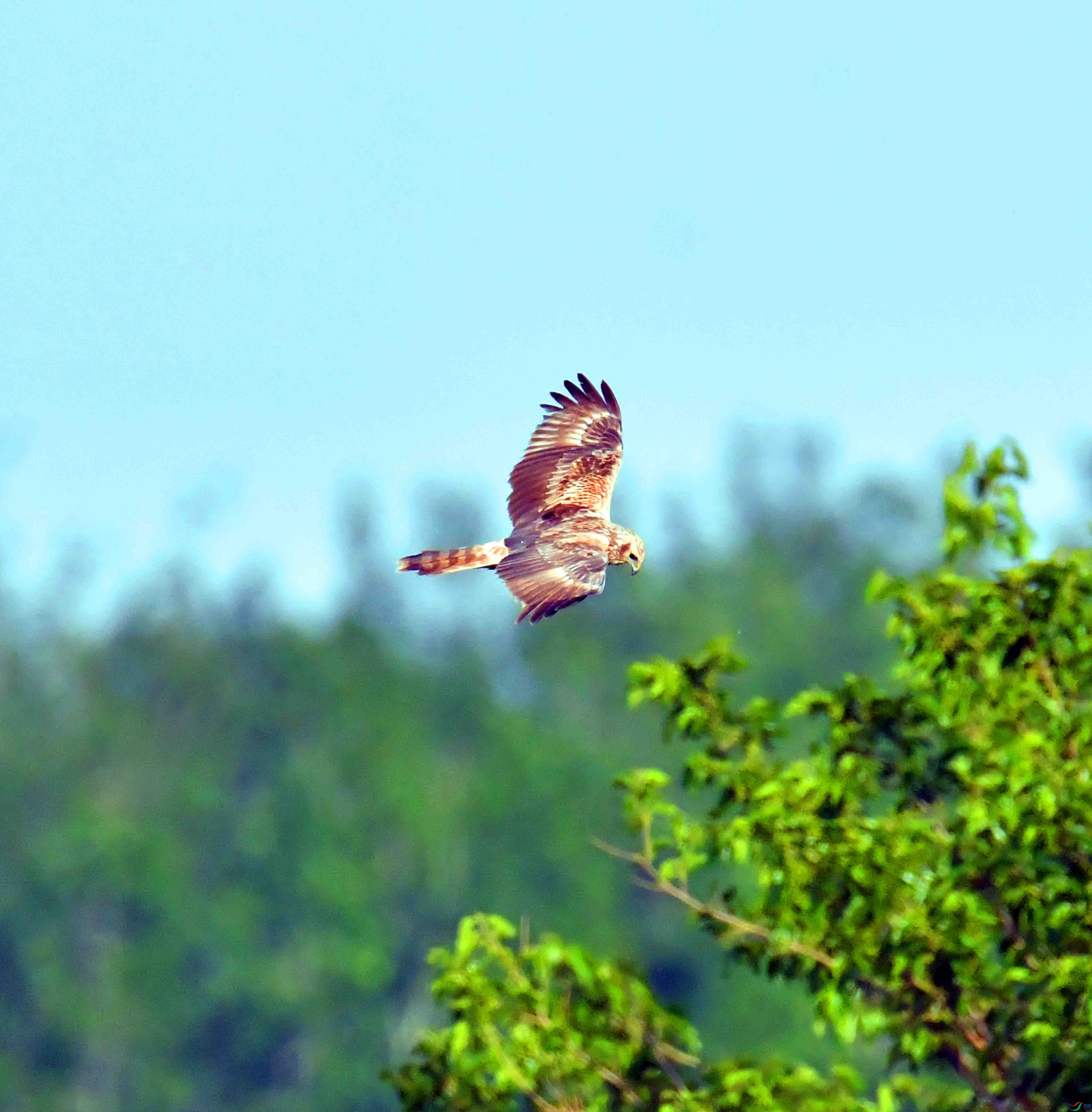 DSC_9764.JPG