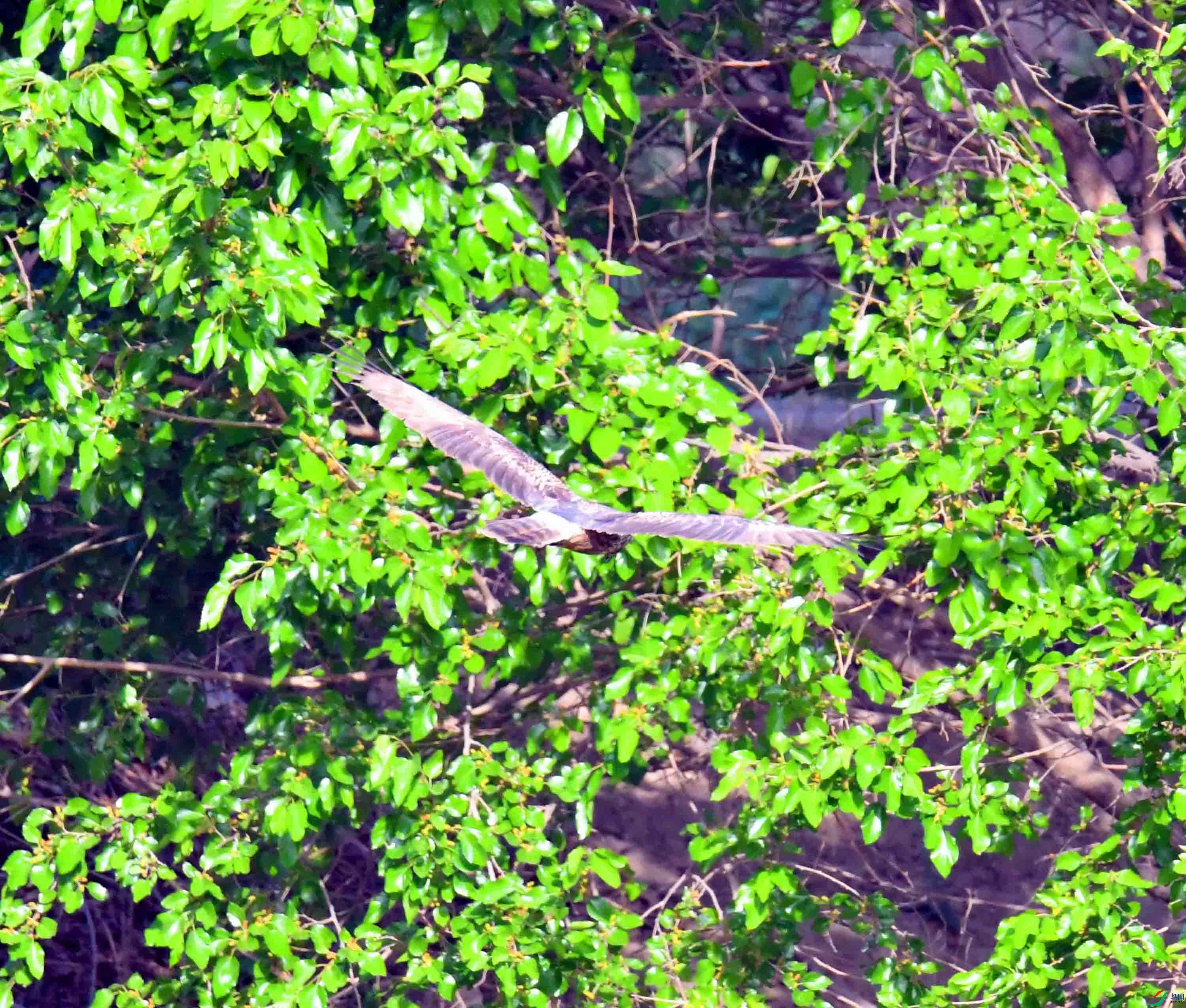 DSC_9745.JPG