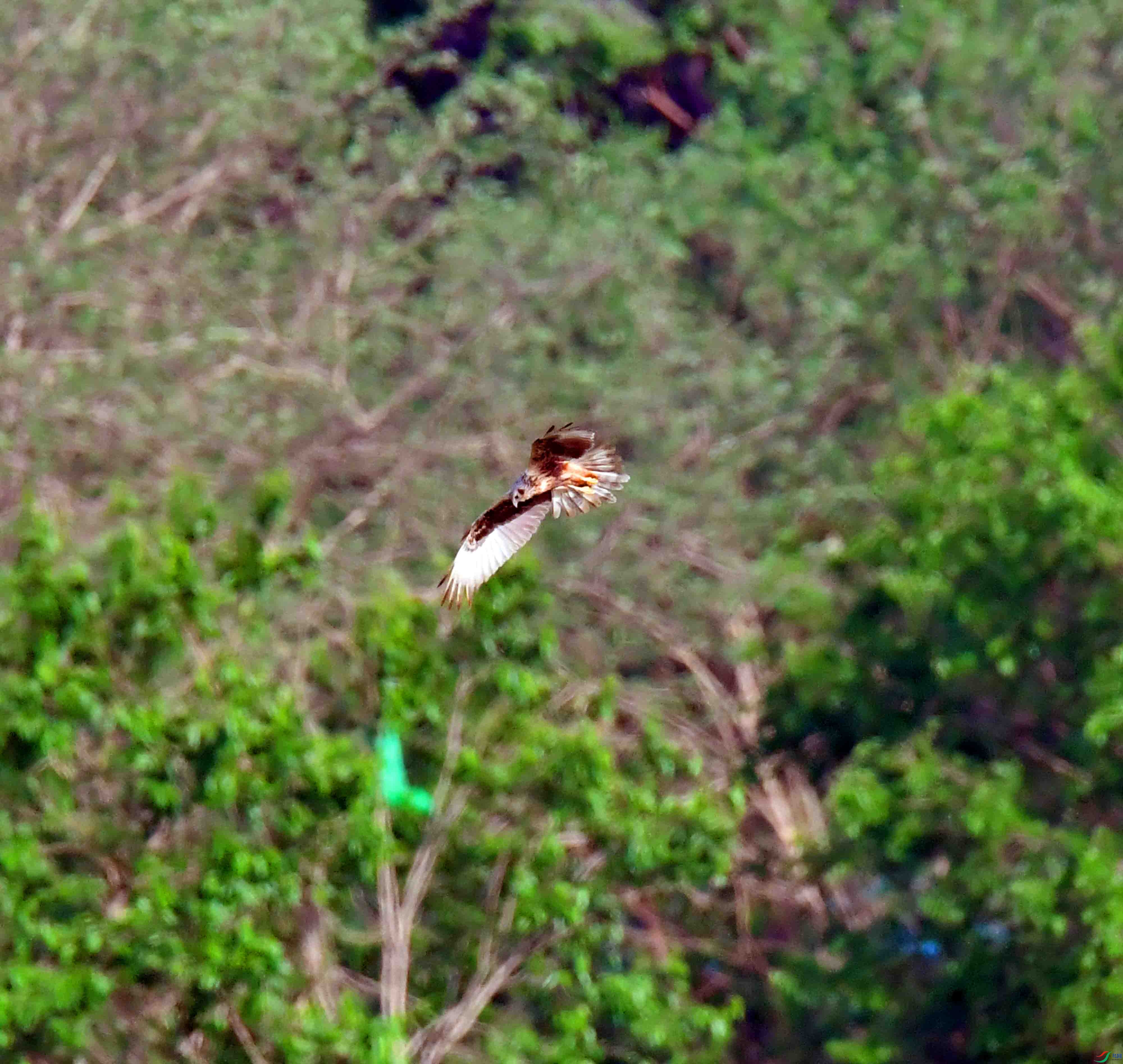 DSC_9835.JPG