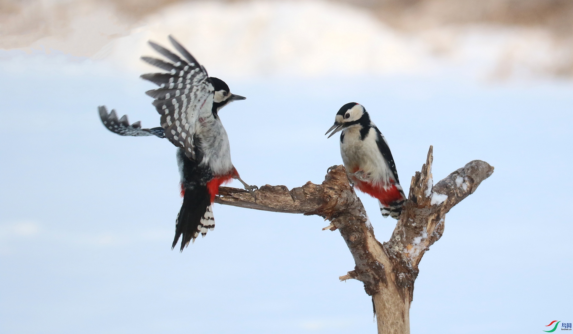 0G1A7364 ����.jpg