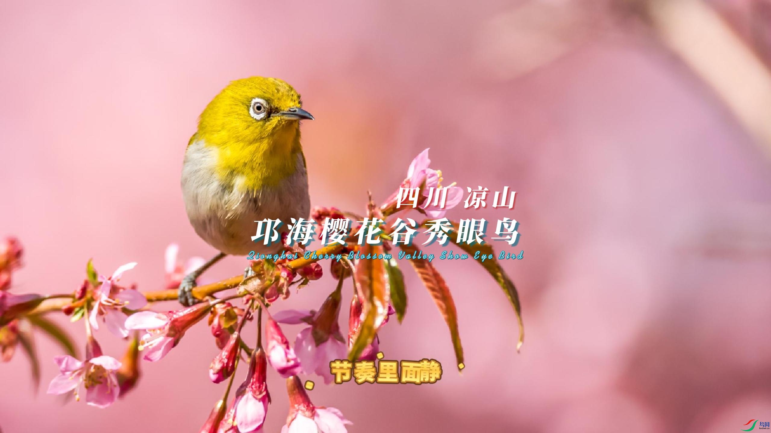 �Ĵ� ��ɽ ����ӣ����������-����.jpg
