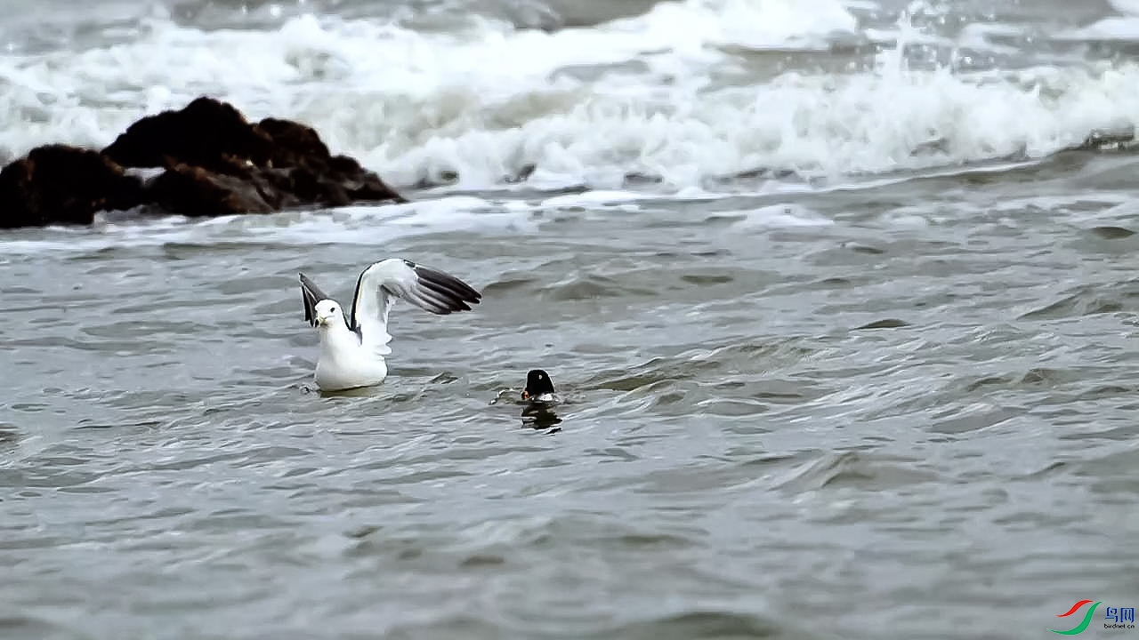 11��25�� (����ȵѼ׽з��Ÿ���)-����.jpg