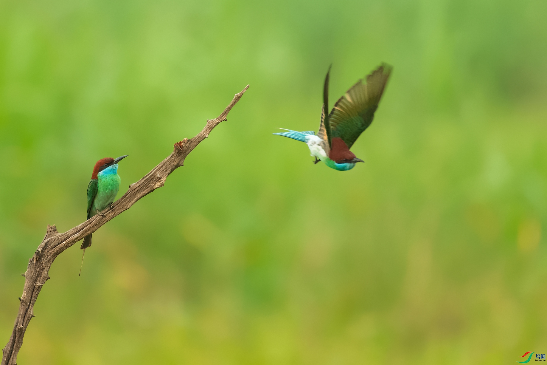 DSC_4509_DxOa.jpg