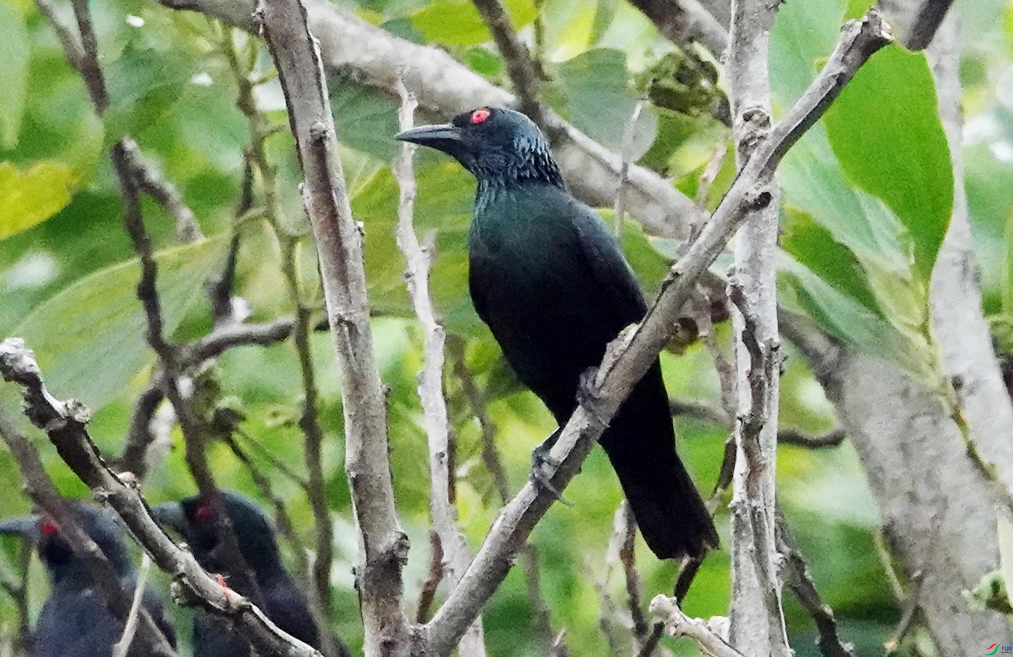 DSC02401���޻���� (2)1.jpg