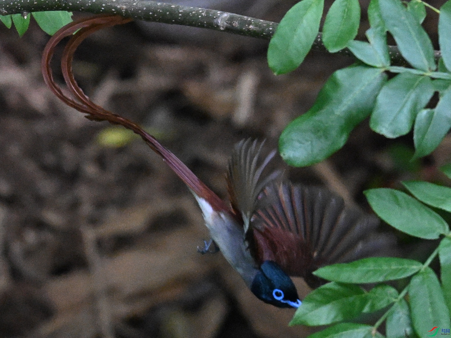 DSC_8291.JPG