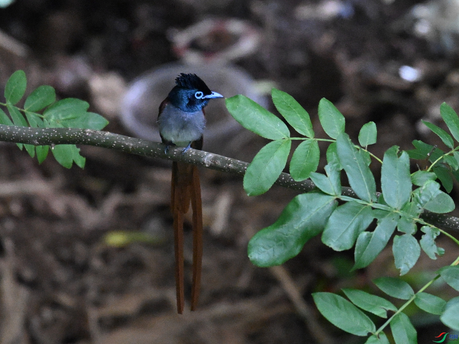 DSC_8269.JPG