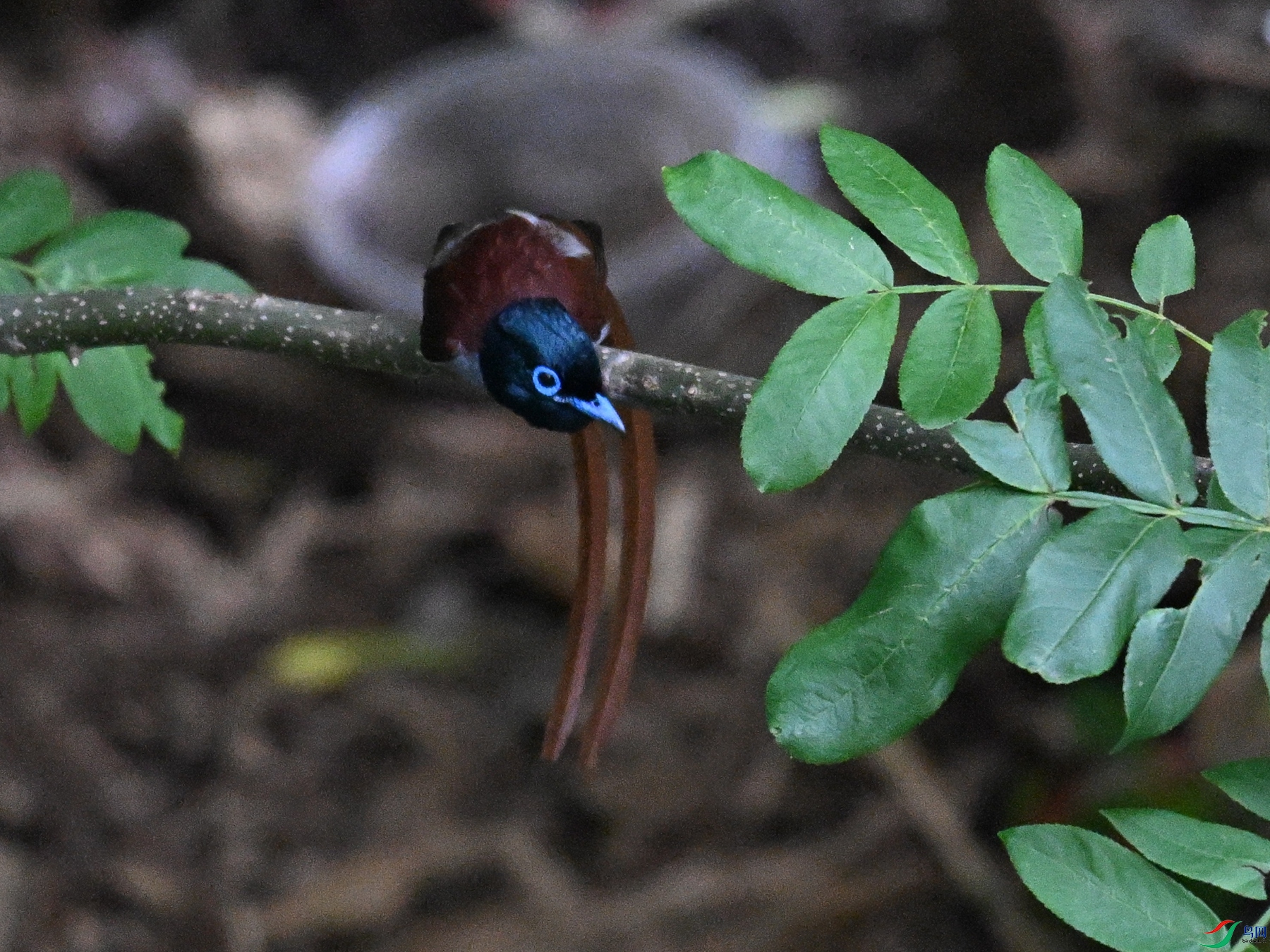 DSC_8281.JPG