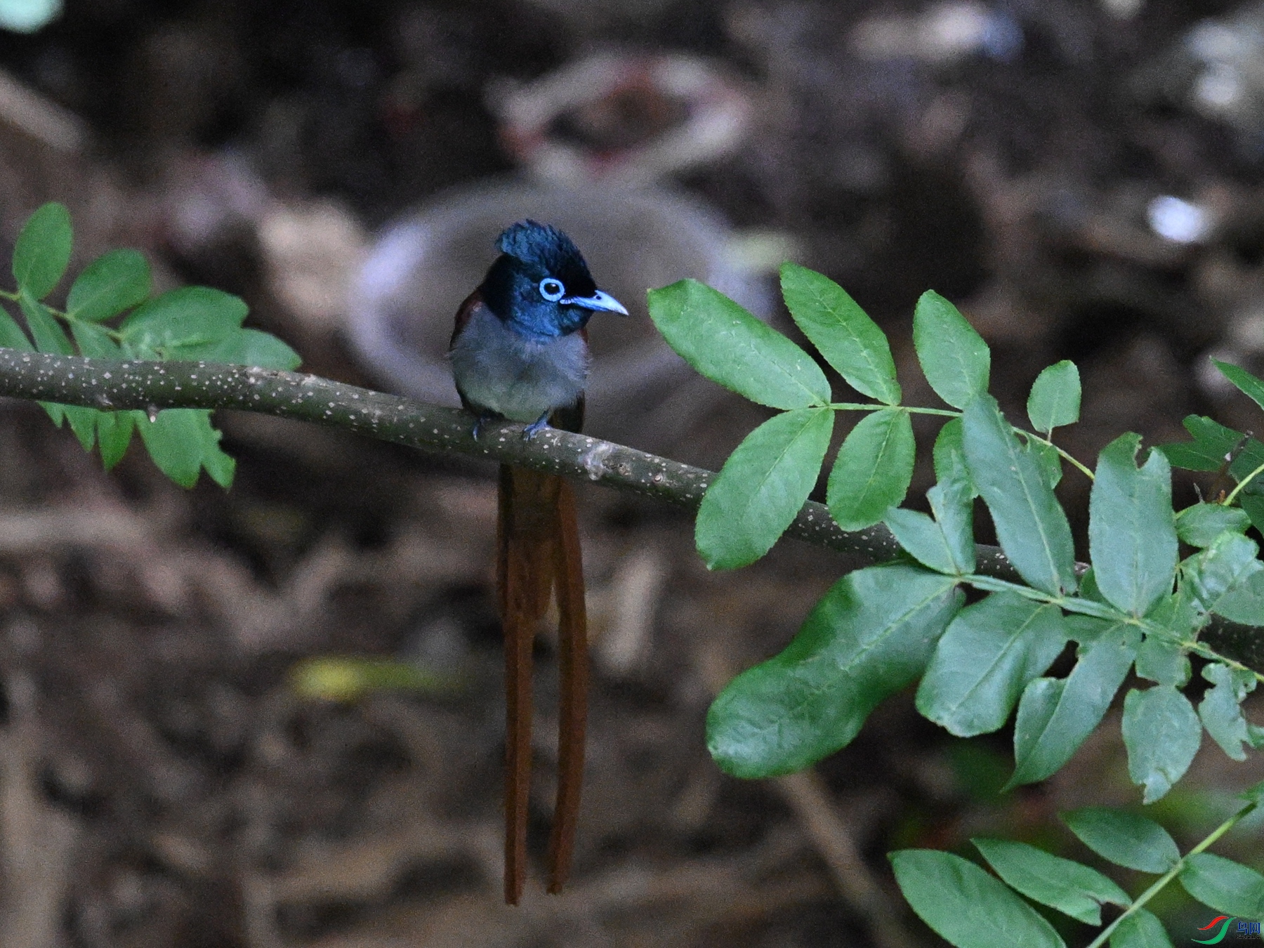 DSC_8273.JPG