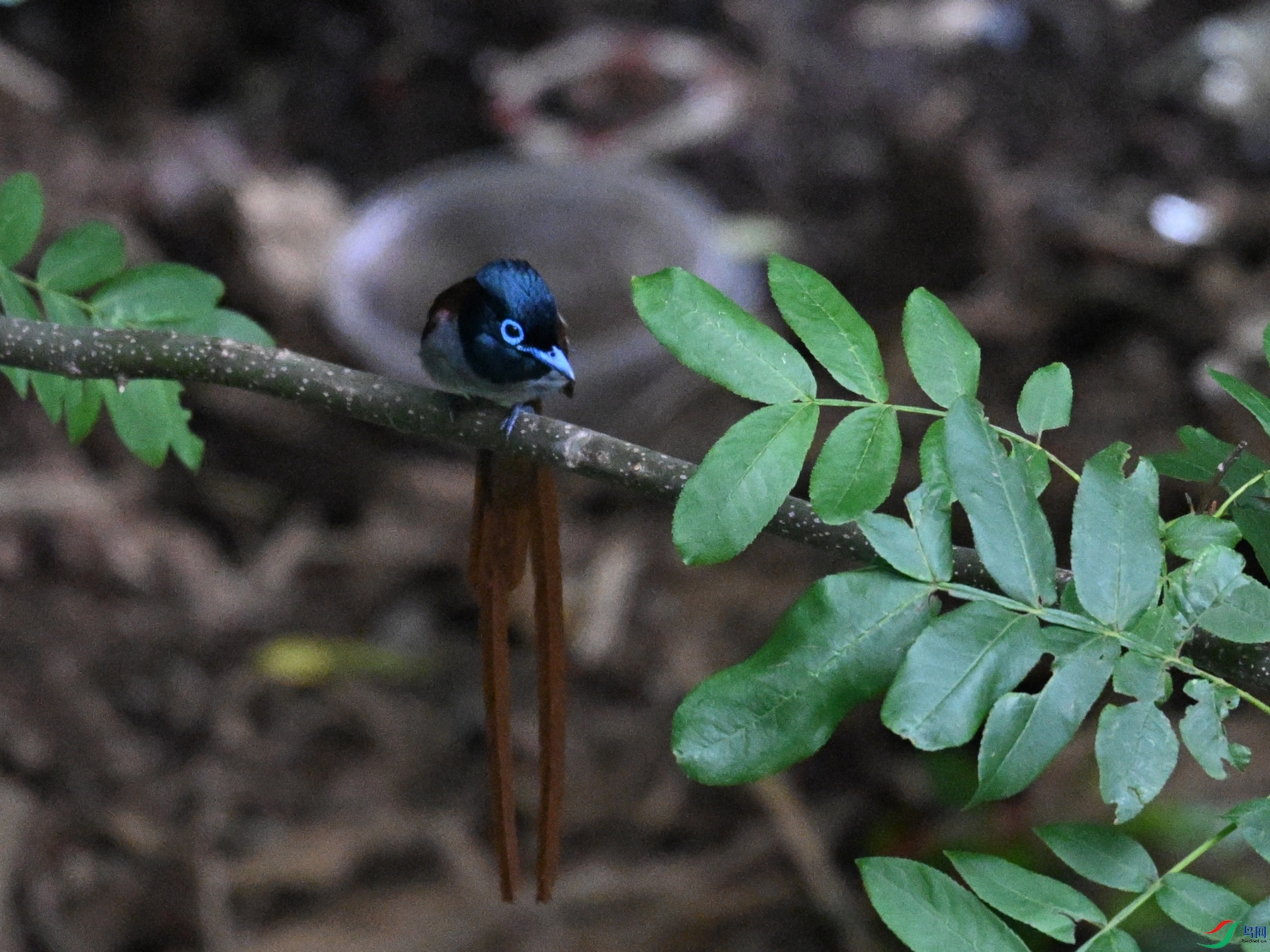 DSC_8277.JPG