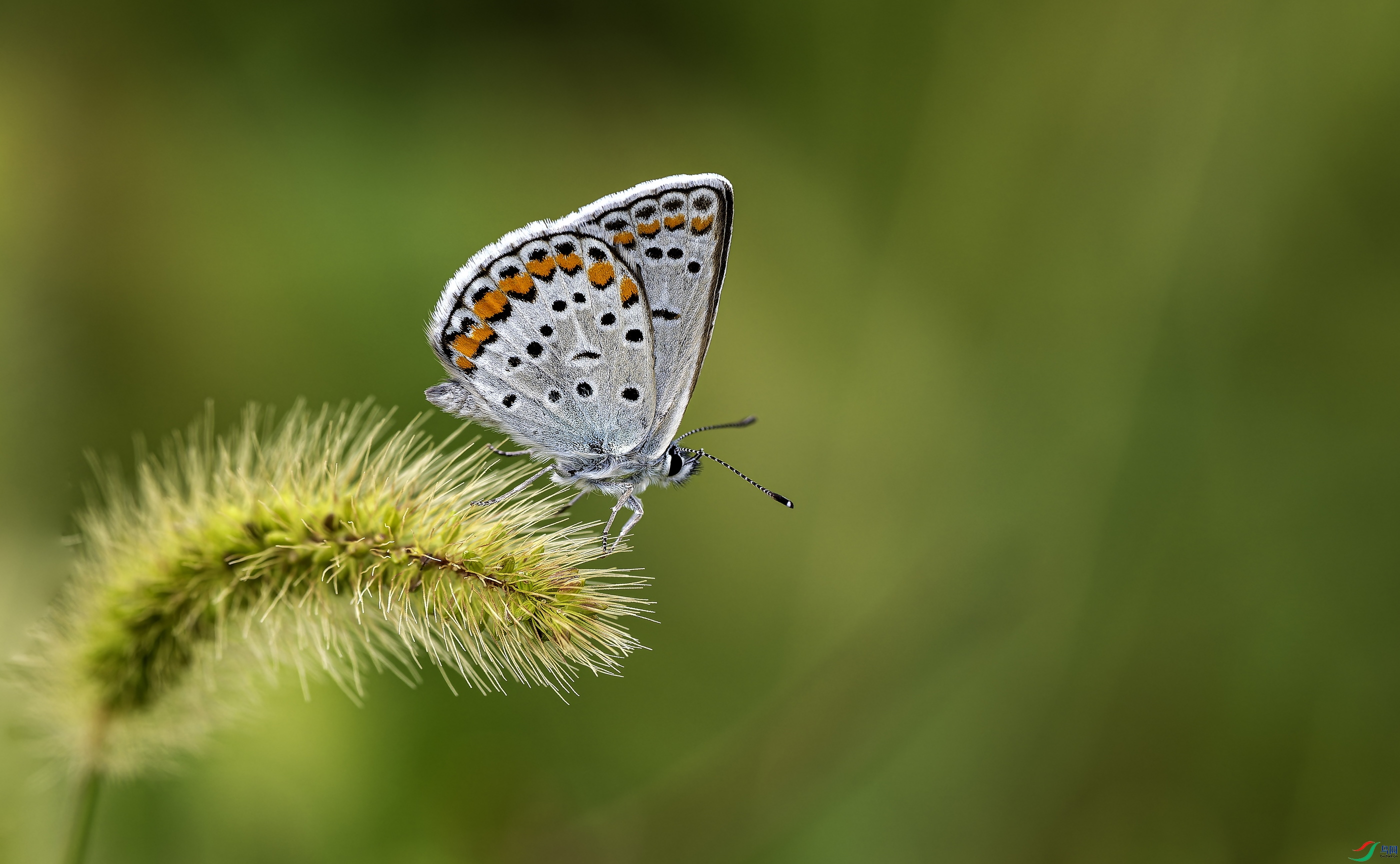 ���ۻҵ� (1602)-01.jpg