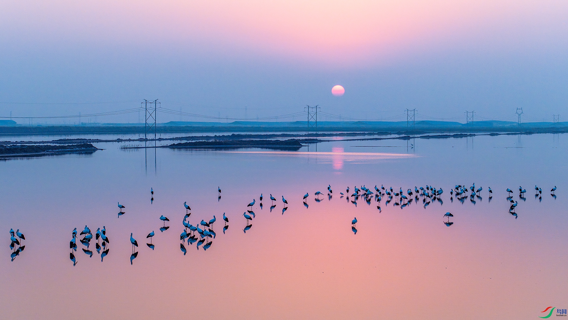 DJI_20251114164437_0181_D-1.jpgС.jpg
