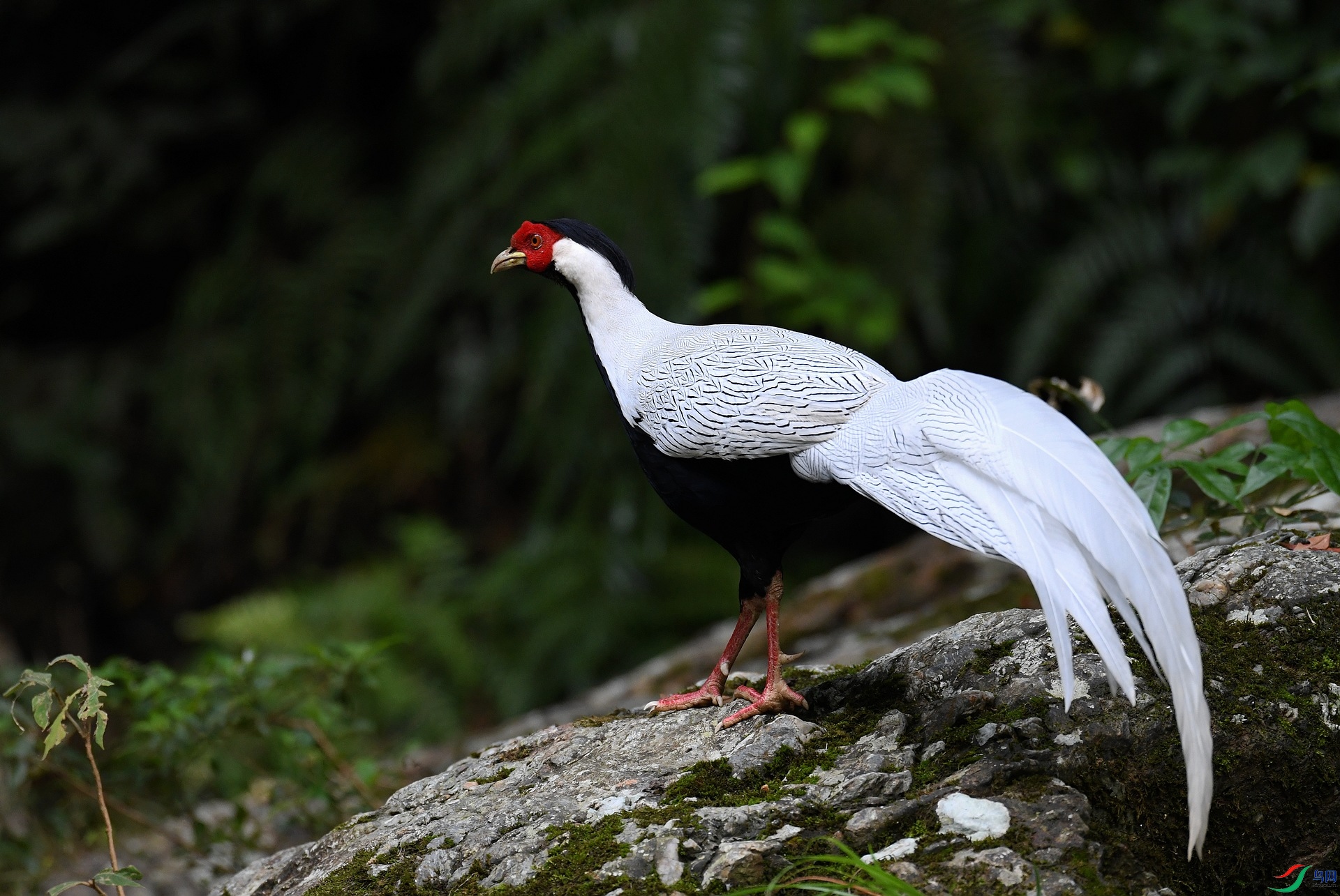 DSC_7384.jpg