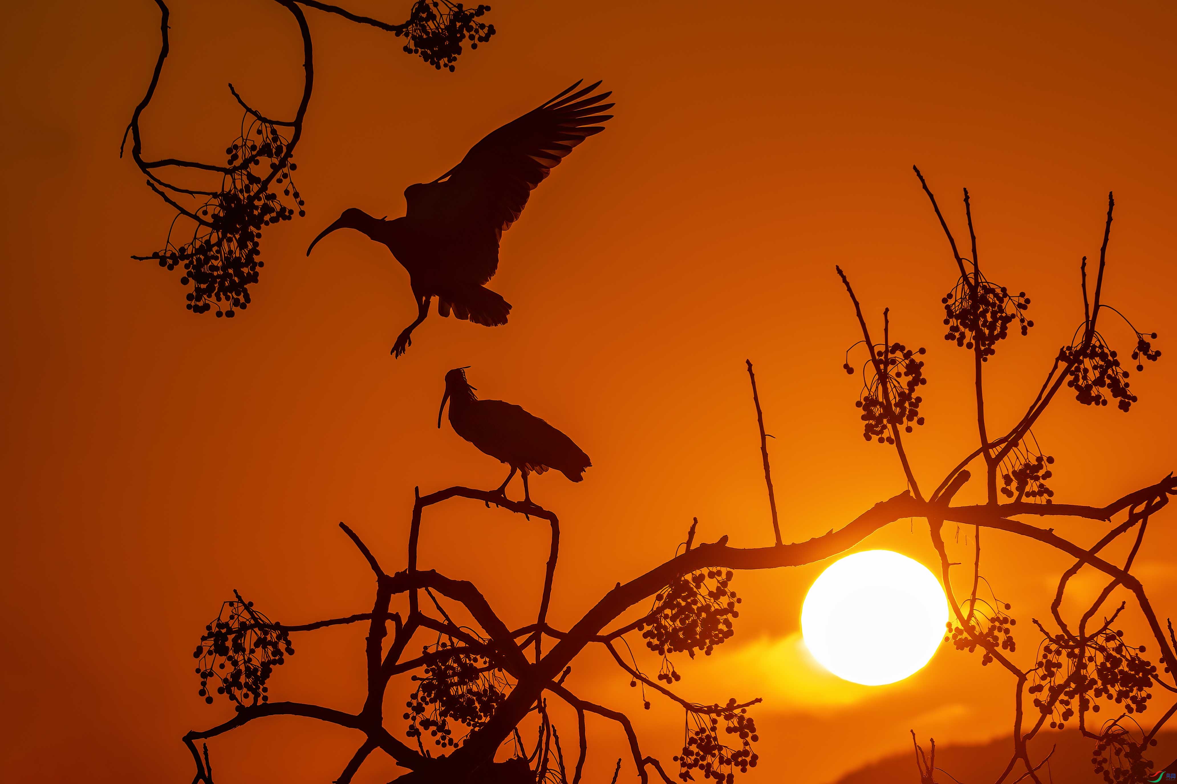 DSC_0015 ����.jpg