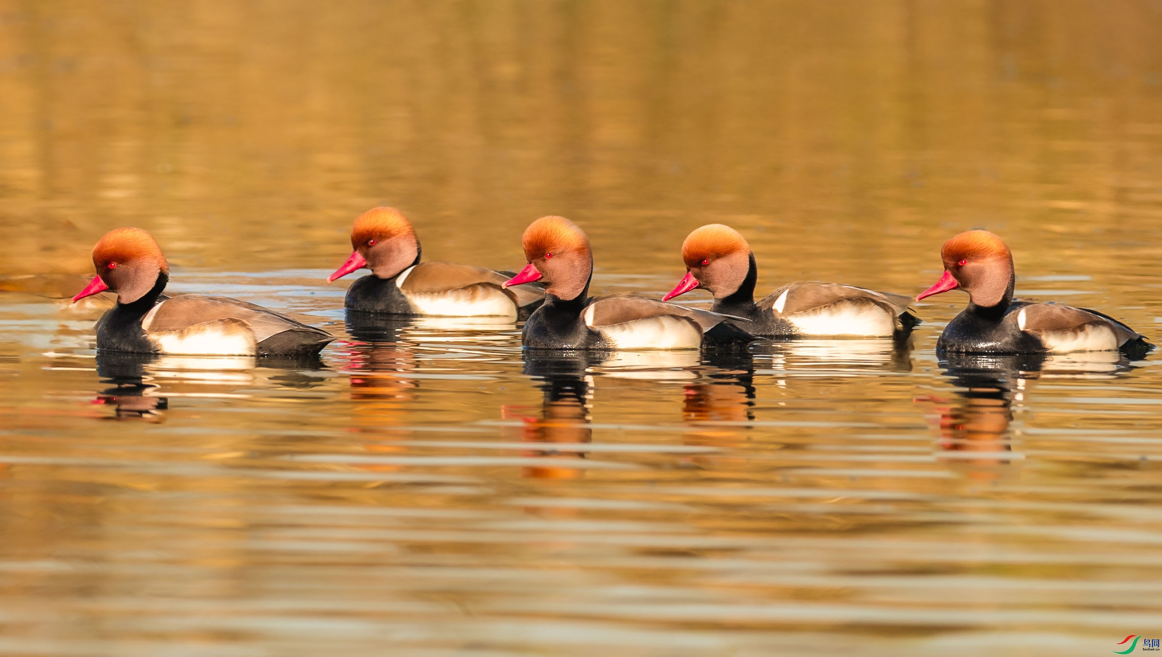 0N6A7367 ���� 2.jpg