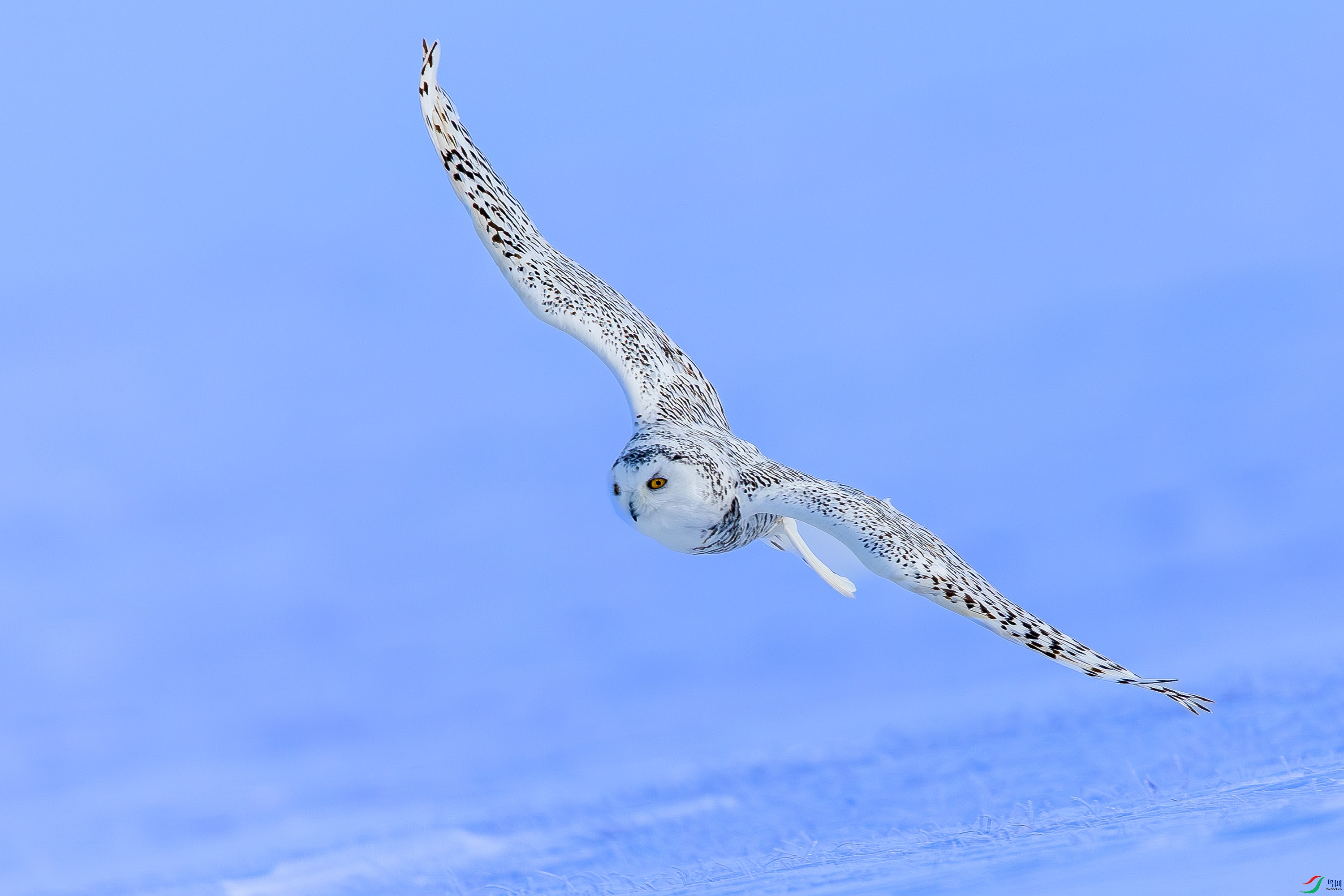 _72A2756-����ǿ-NR.JPG