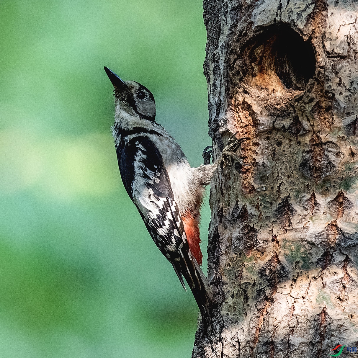 _90I7924 ���� 2.jpg