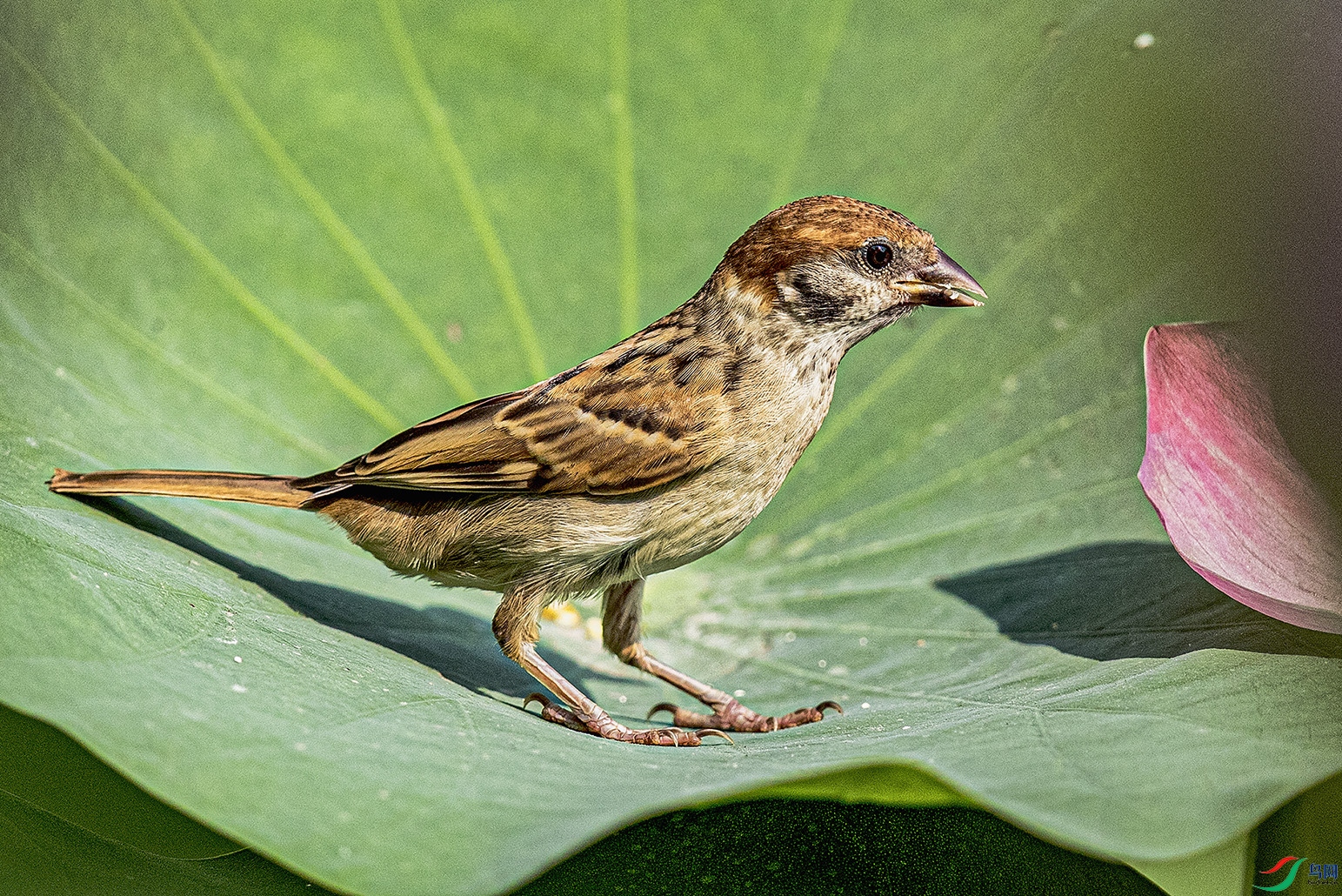 _90I0208 ���� 2.jpg