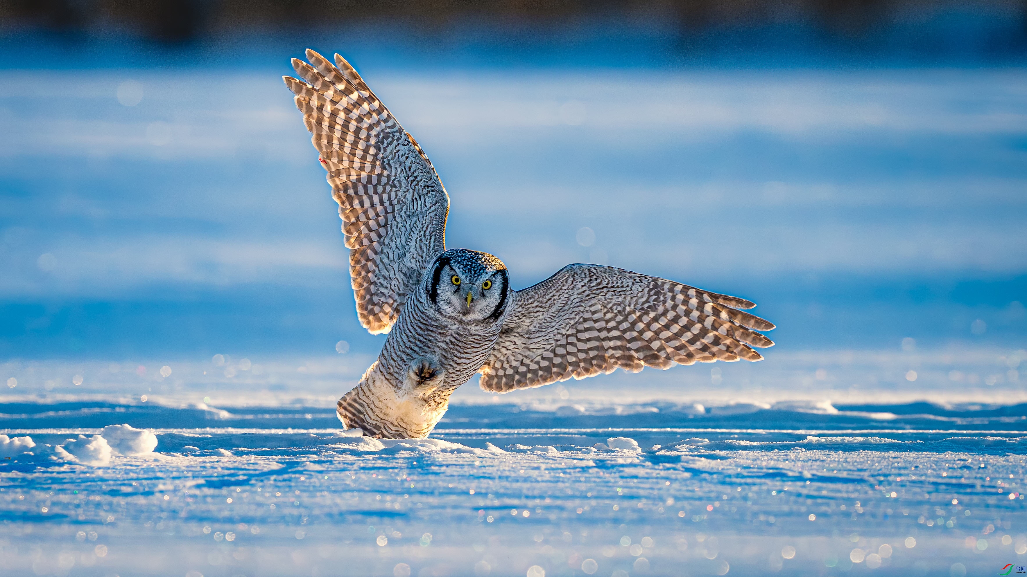 a_DSC8538_����.jpg