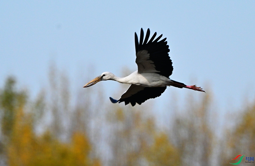 DSC_1909.JPG
