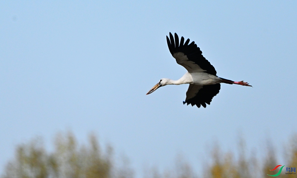 DSC_1917.JPG