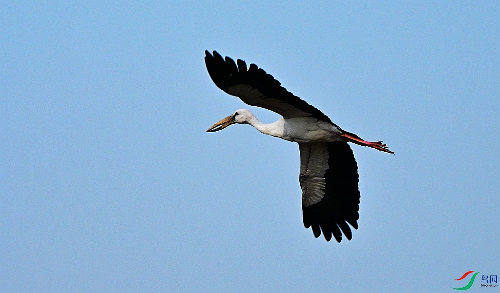 DSC_1933.JPG