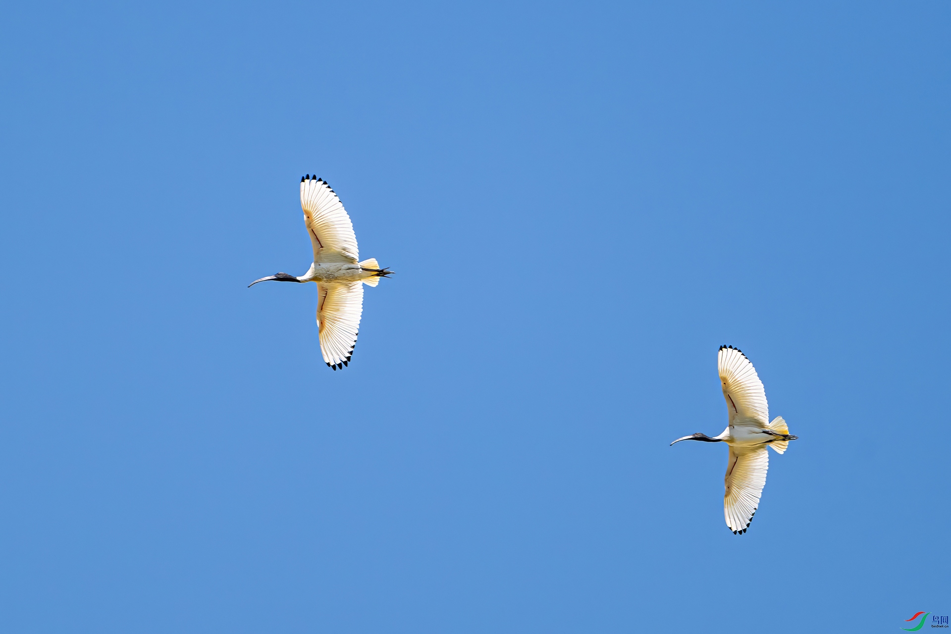 DSC_6066.jpg