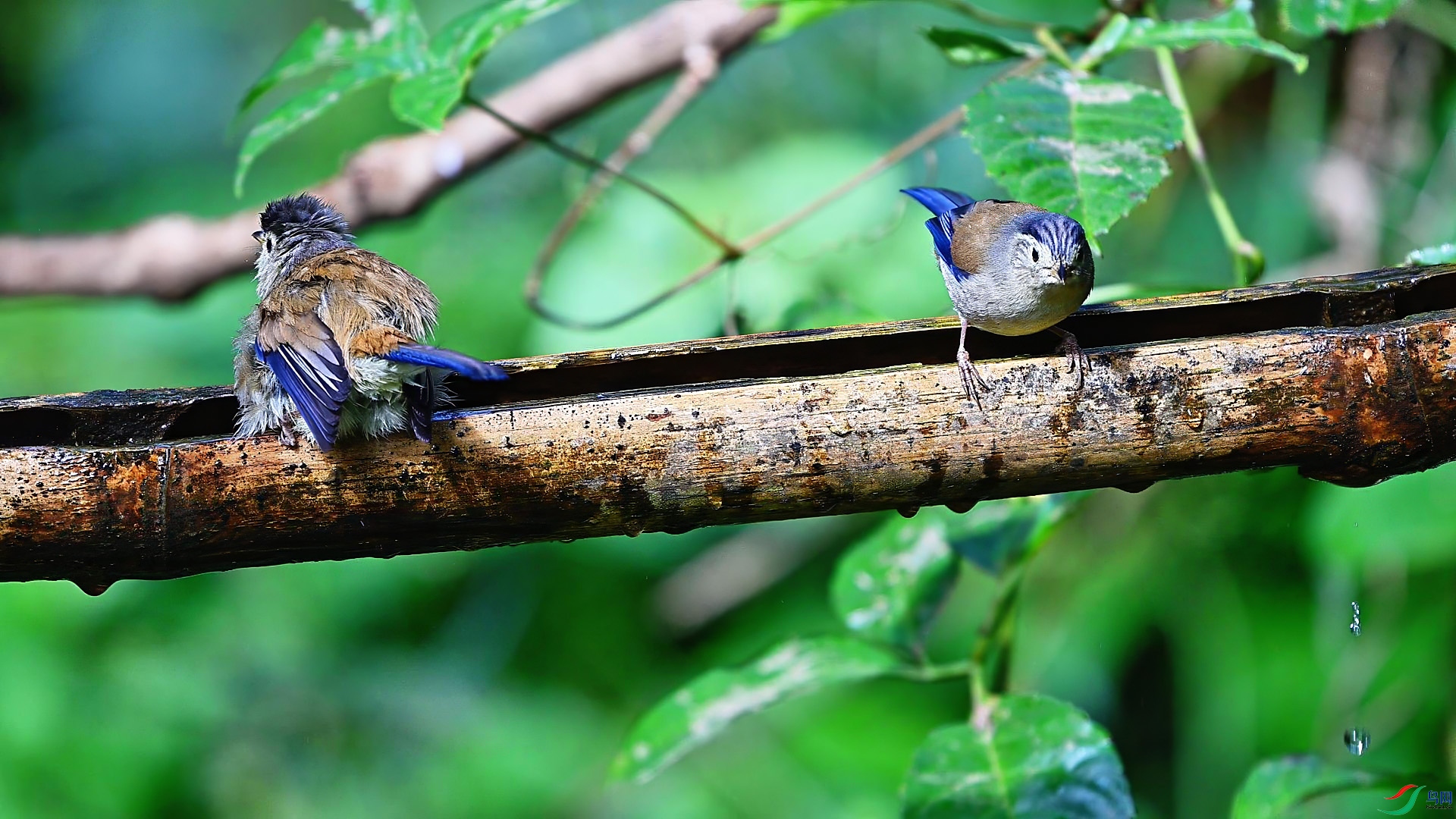 11��25�� (2)-���� ����.jpg