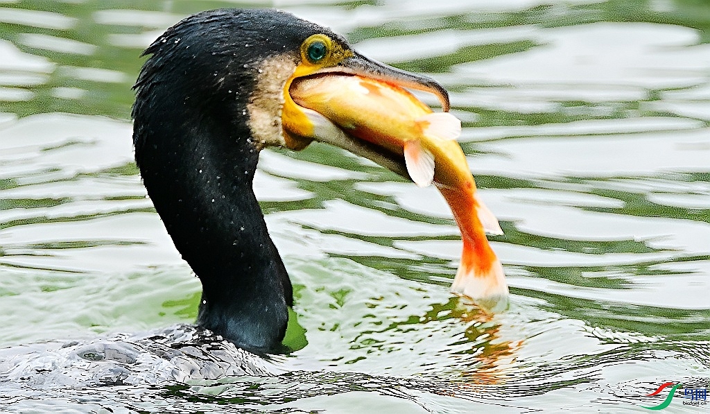 DSC_3834.JPG