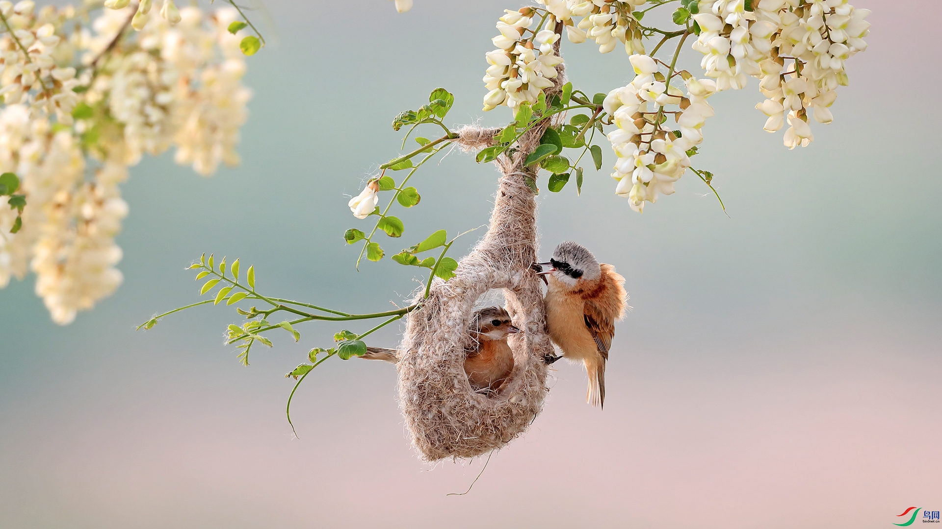 �л���ȸ007 ����ϸ��.jpg