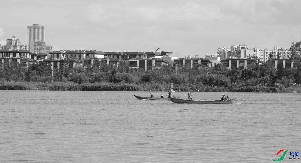 DSCF6649.1.jpg