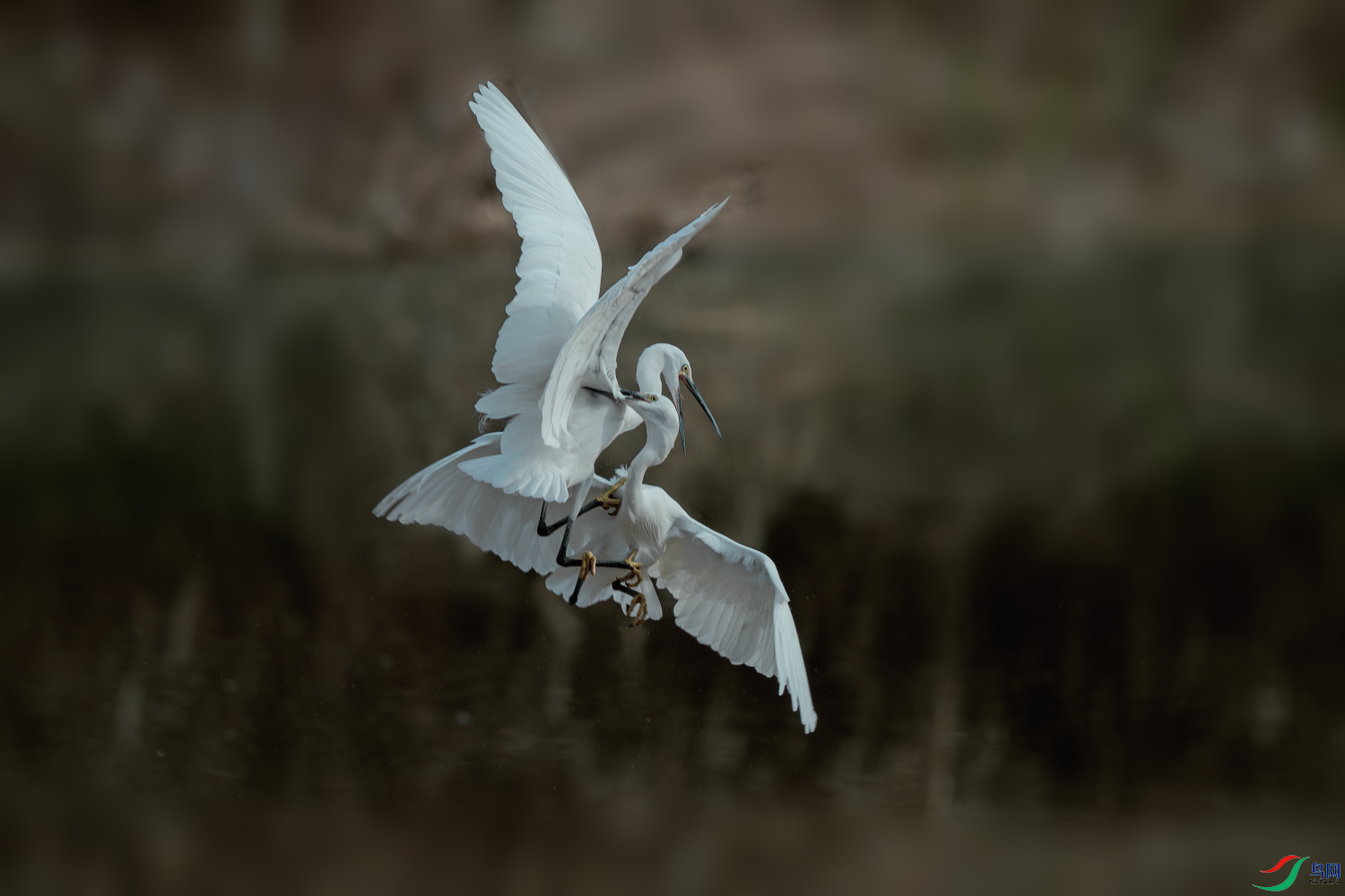 _DSC5820-����ǿ-NR.PNG