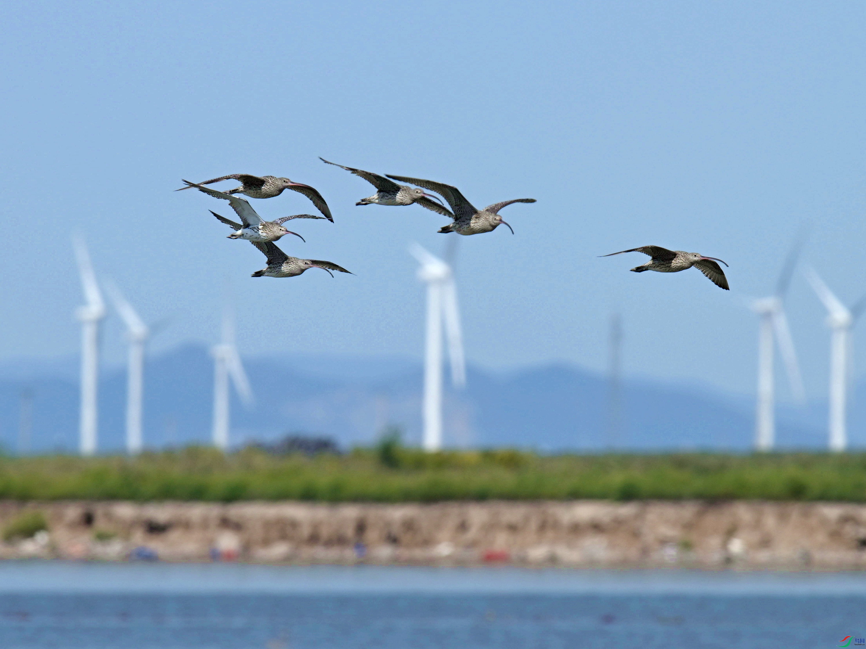 ����� (10).jpg