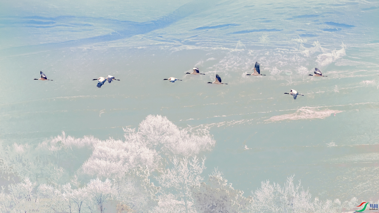 �ھ���----���ɺ�Ӱ֮��������