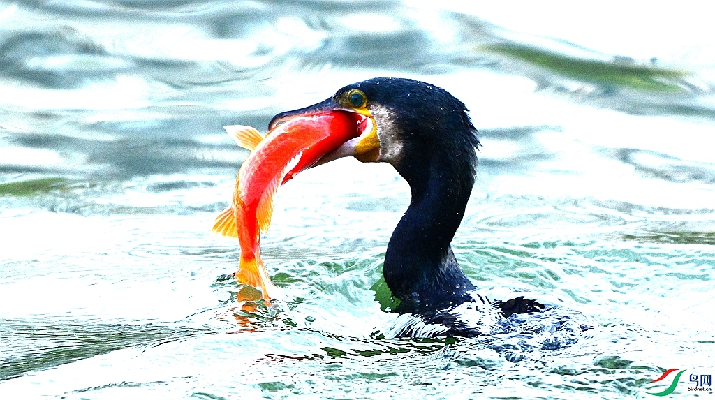 DSC_2015.JPG